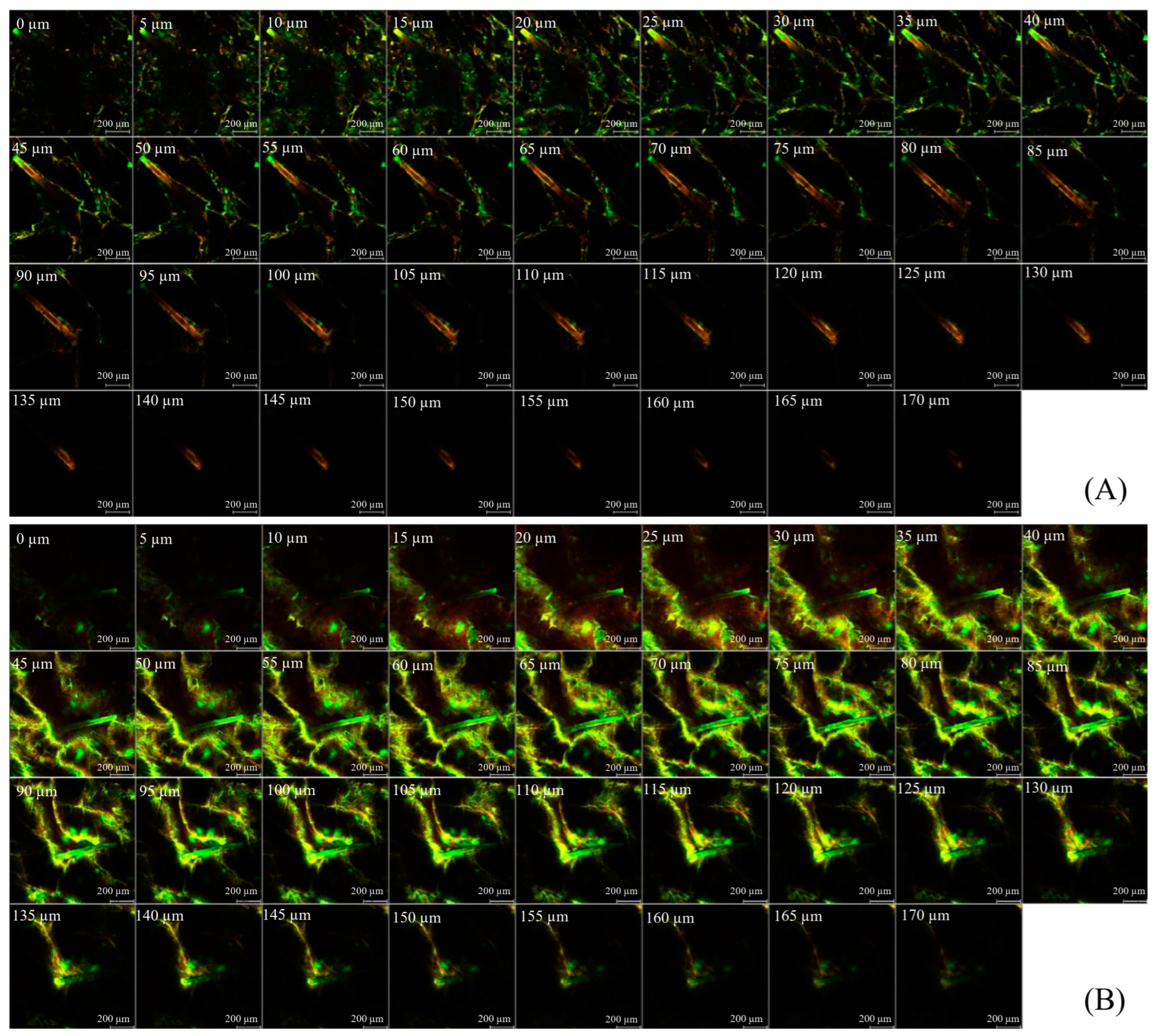 Pharmaceuticals 17 01084 g006