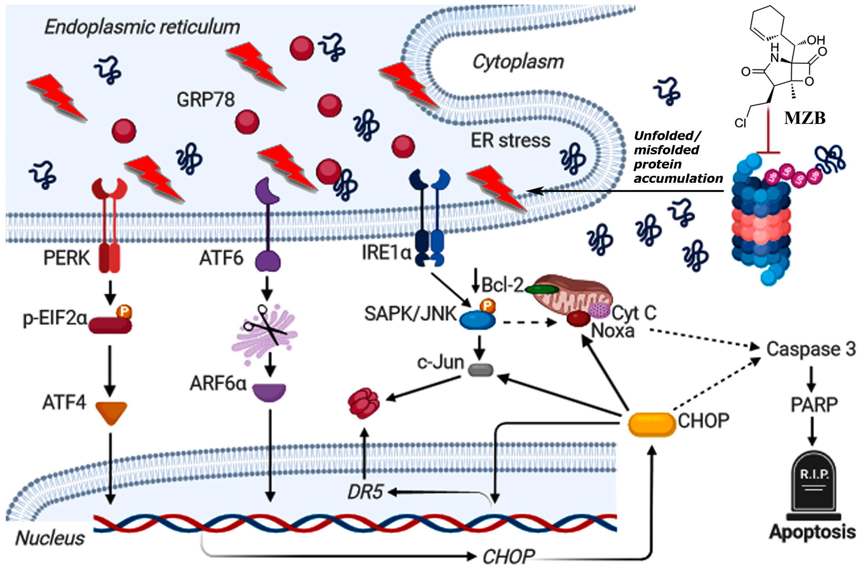 Pharmaceuticals 17 01089 g004