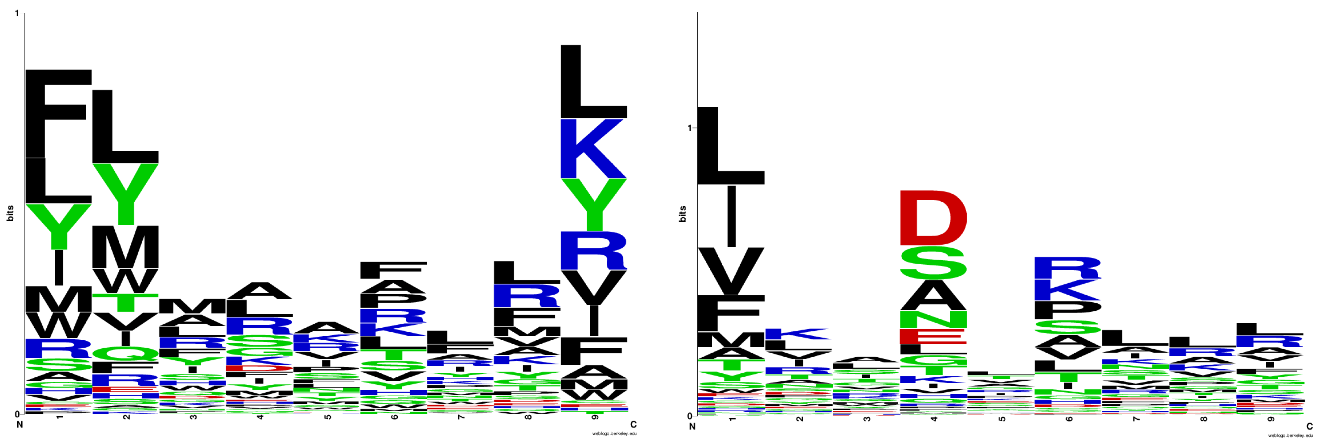 Pharmaceuticals 17 01097 g001