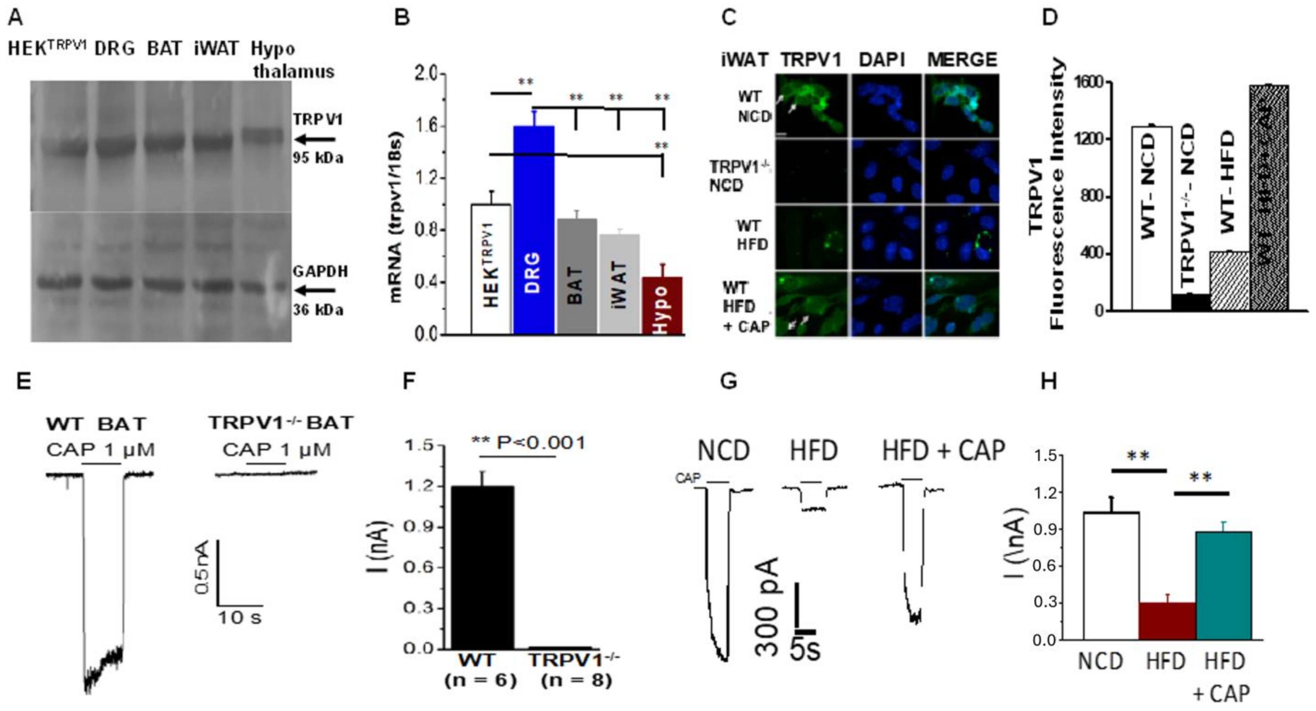 Pharmaceuticals 17 01098 g001