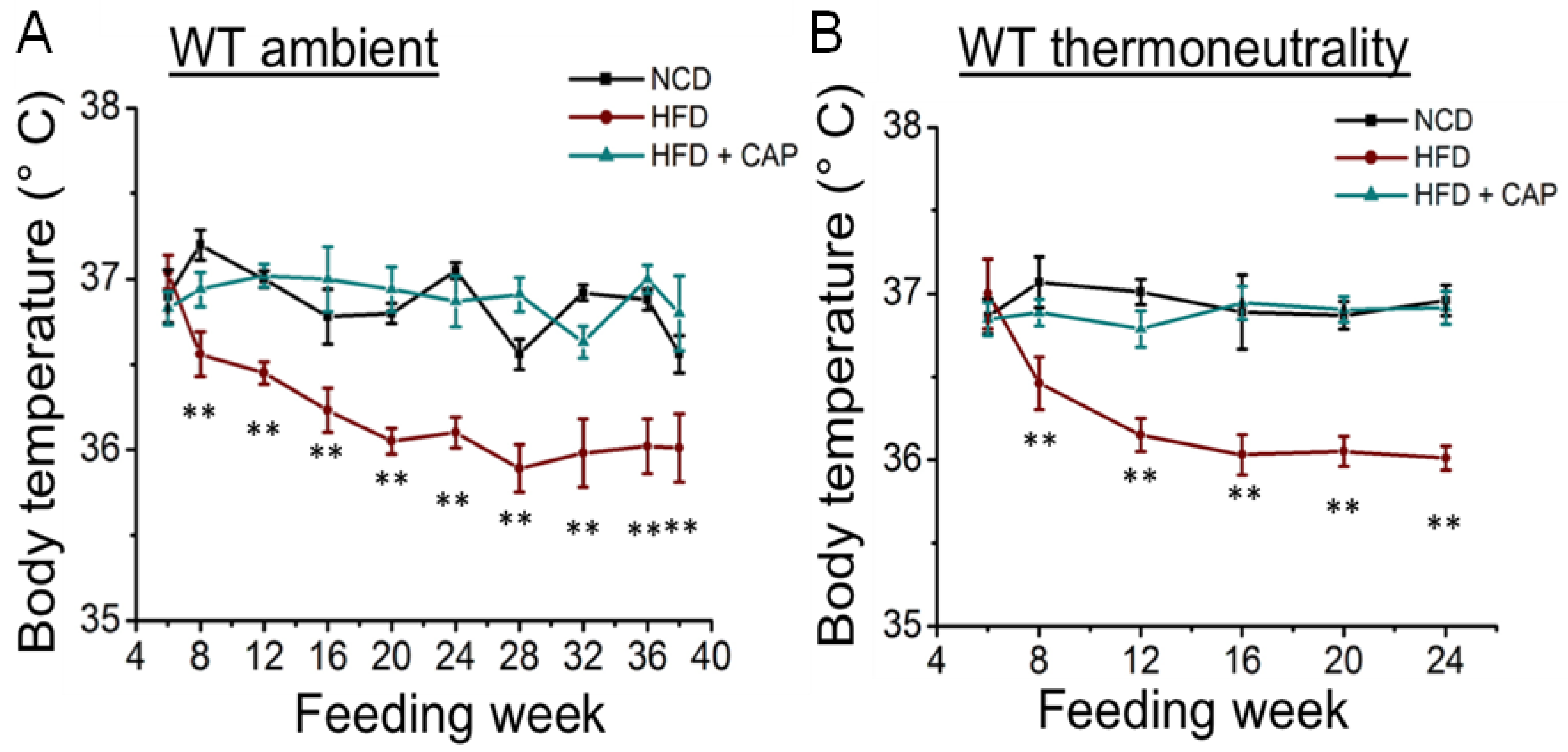 Pharmaceuticals 17 01098 g002