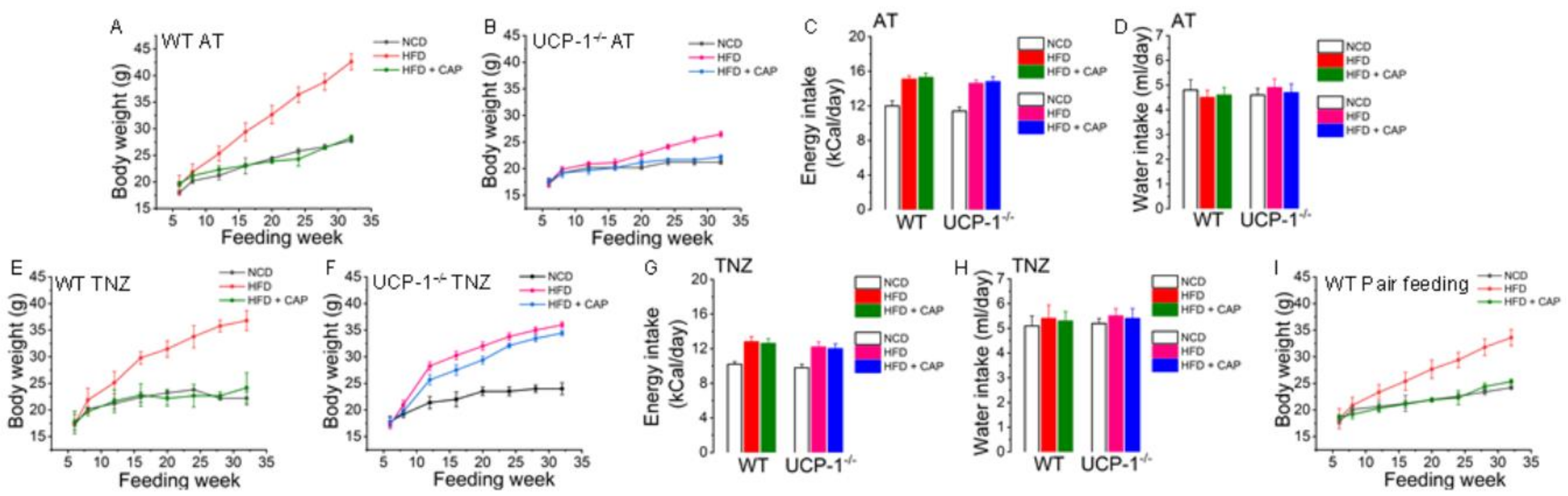 Pharmaceuticals 17 01098 g003