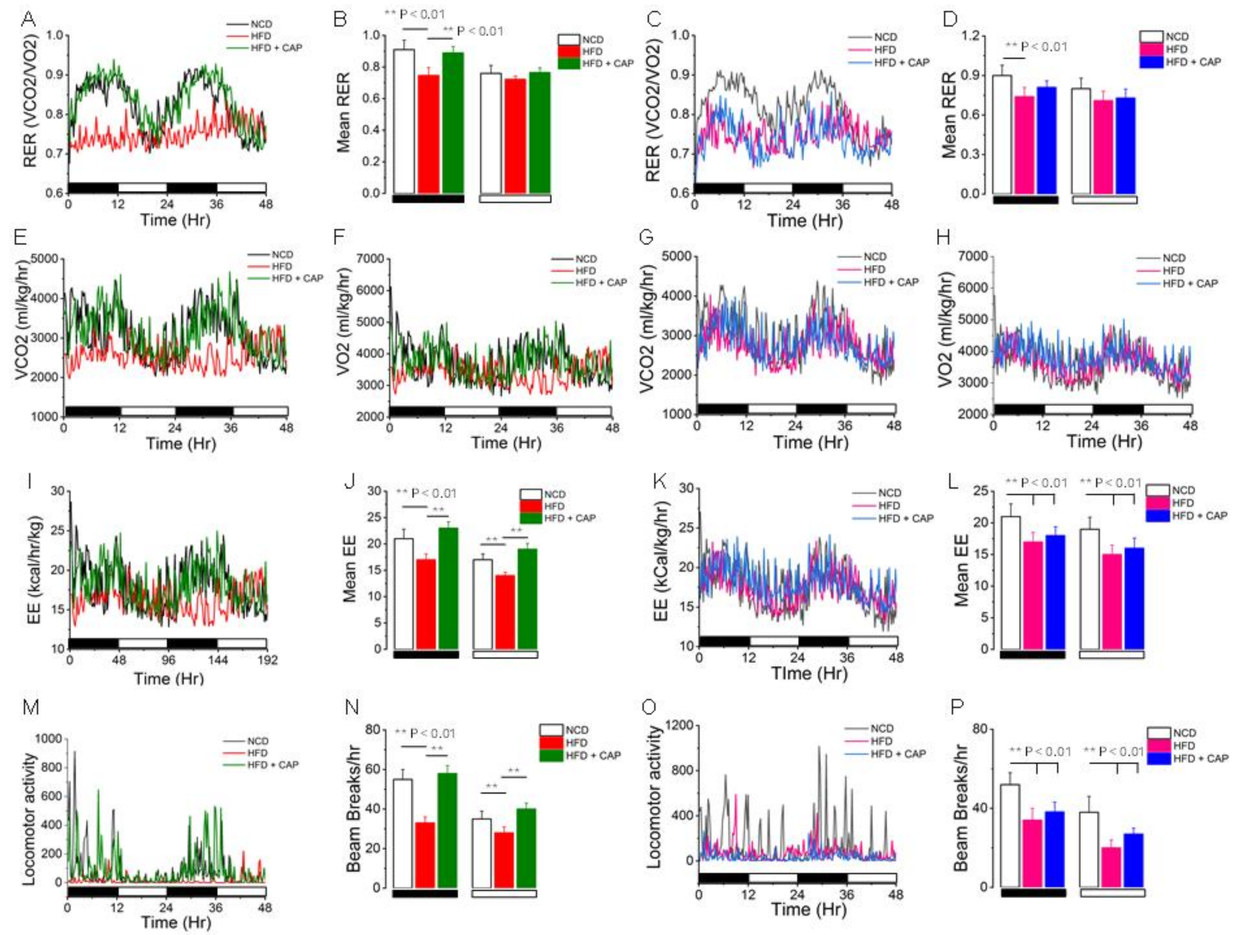 Pharmaceuticals 17 01098 g004