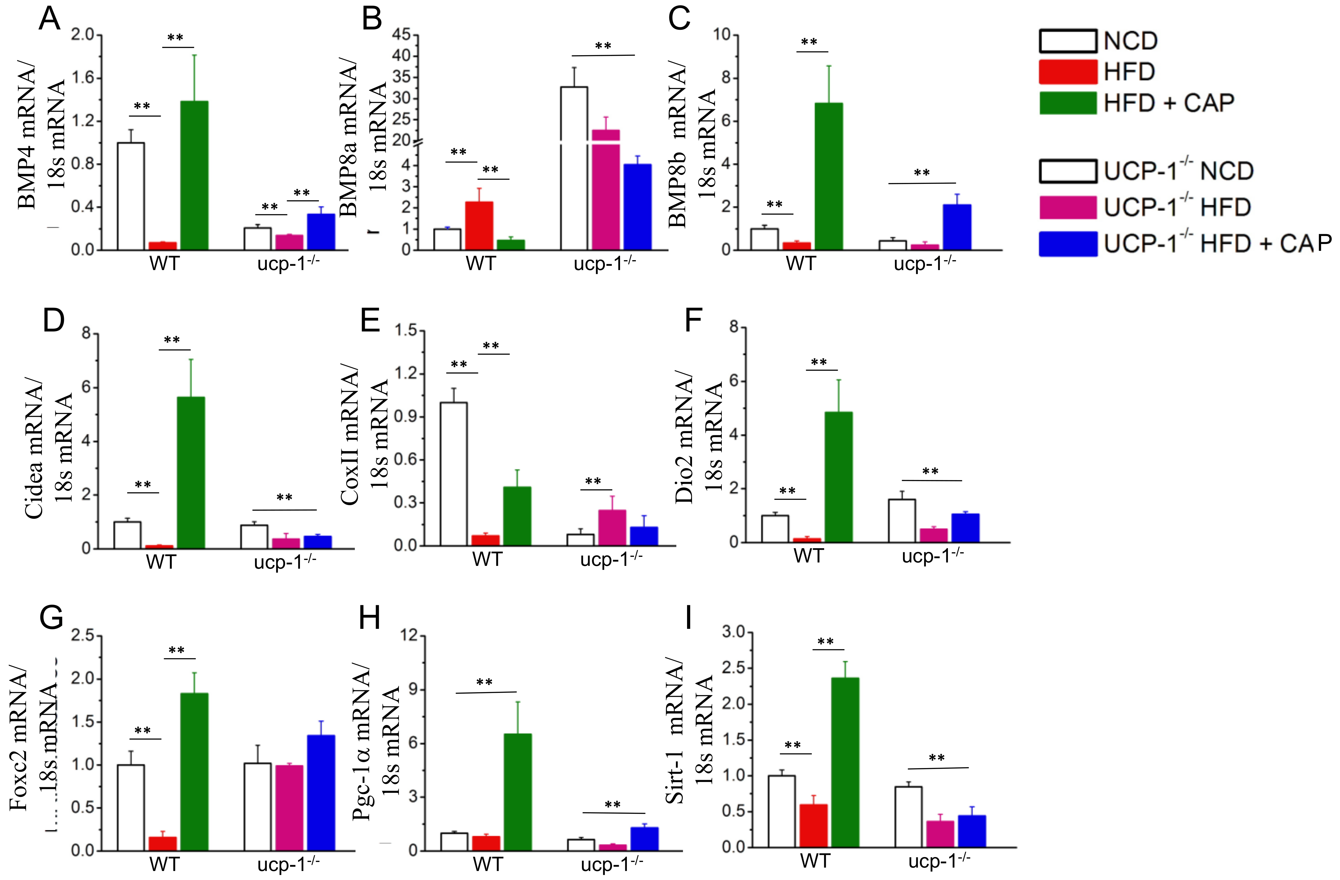 Pharmaceuticals 17 01098 g005