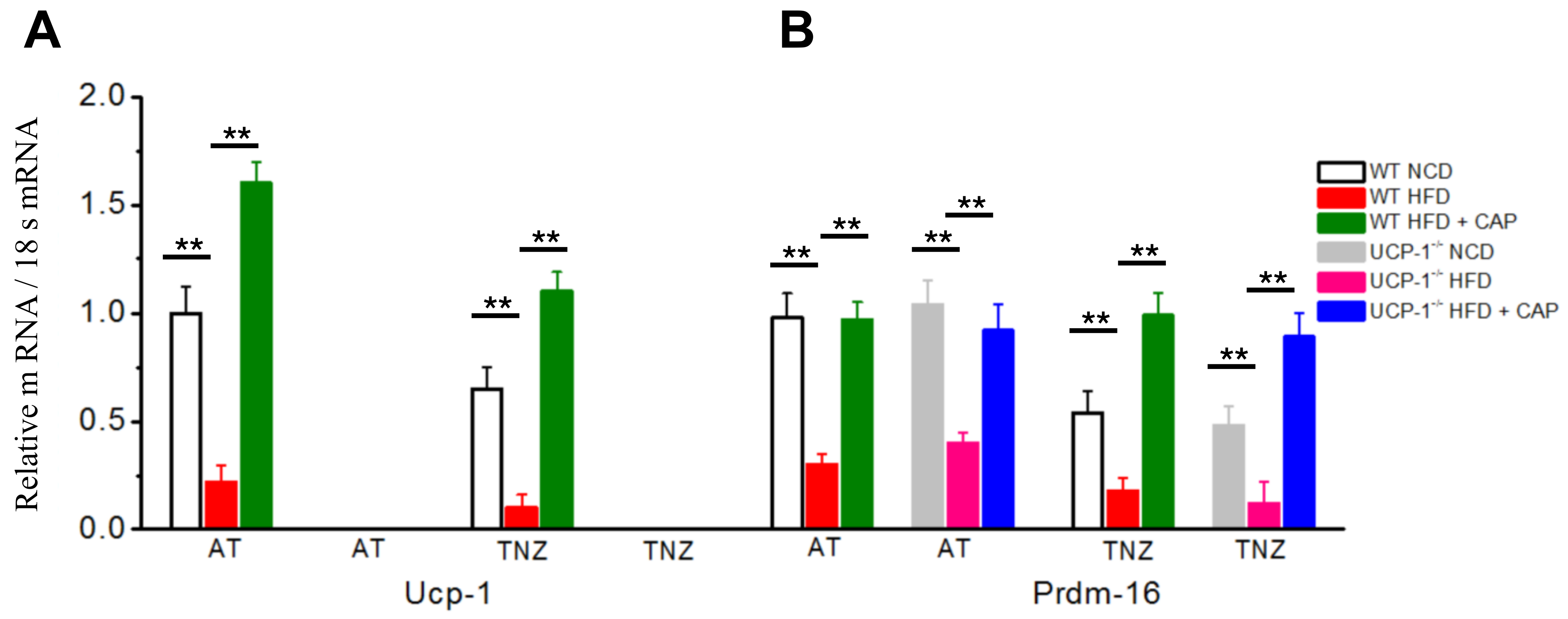 Pharmaceuticals 17 01098 g006