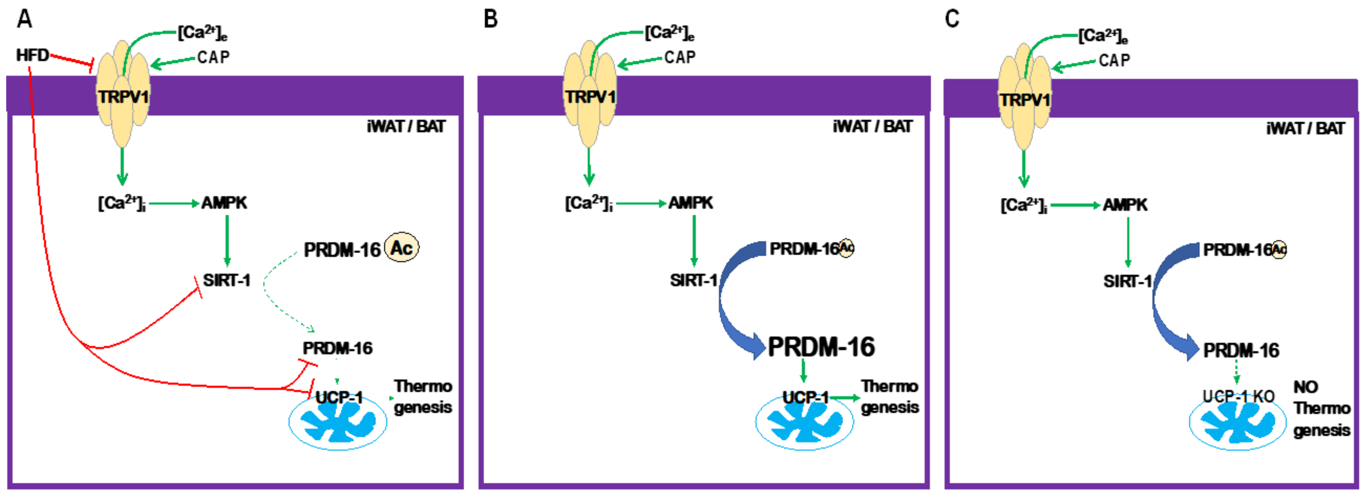 Pharmaceuticals 17 01098 g009