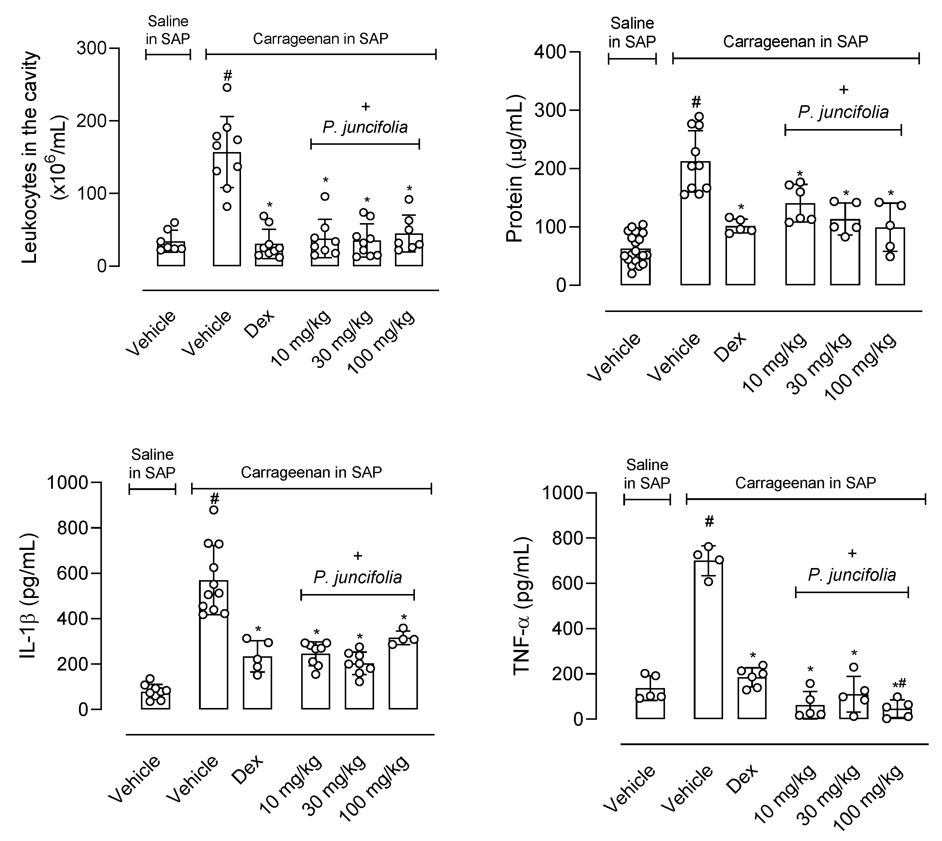 Pharmaceuticals 17 01101 g004