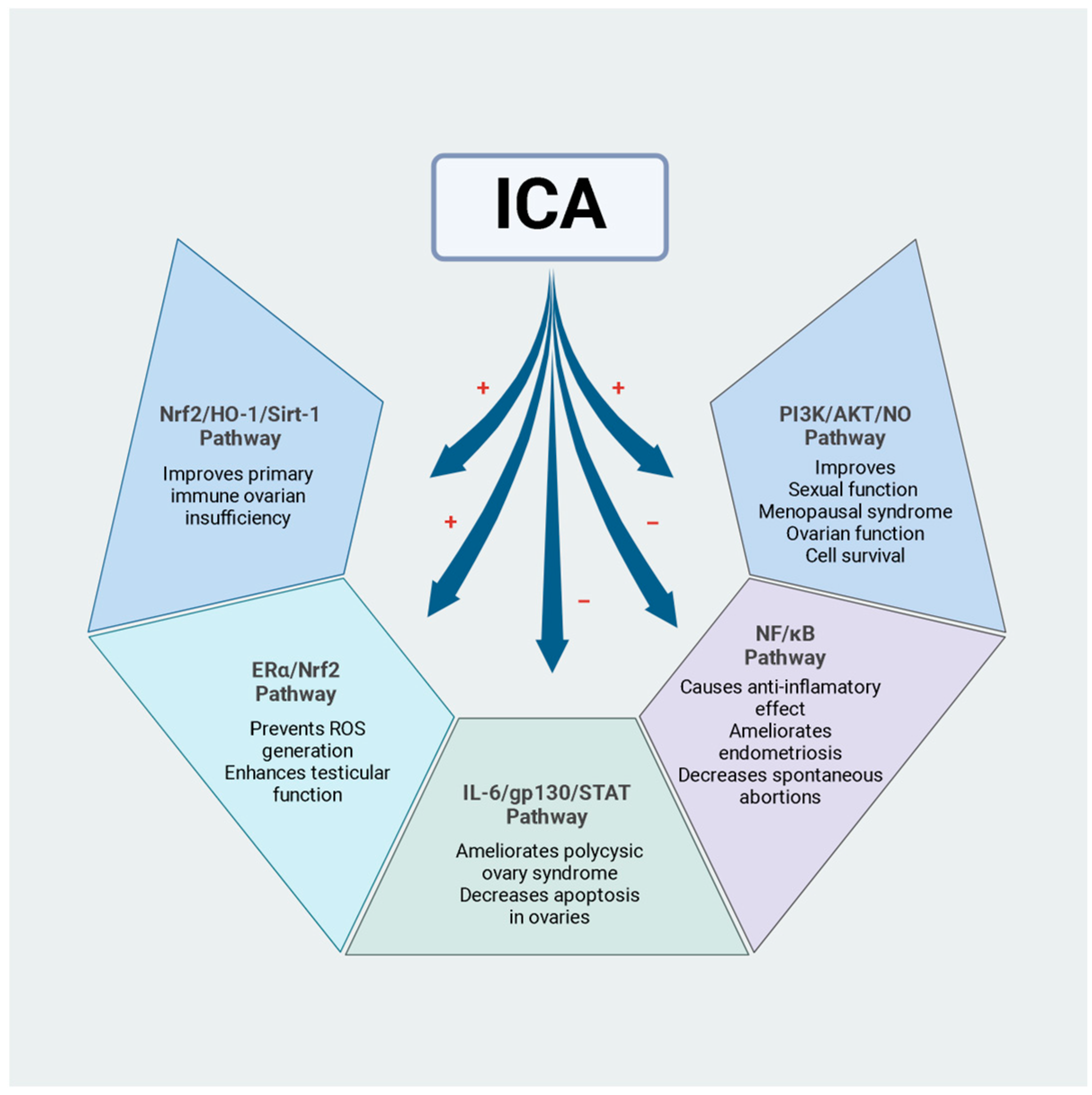Pharmaceuticals 17 01104 g002