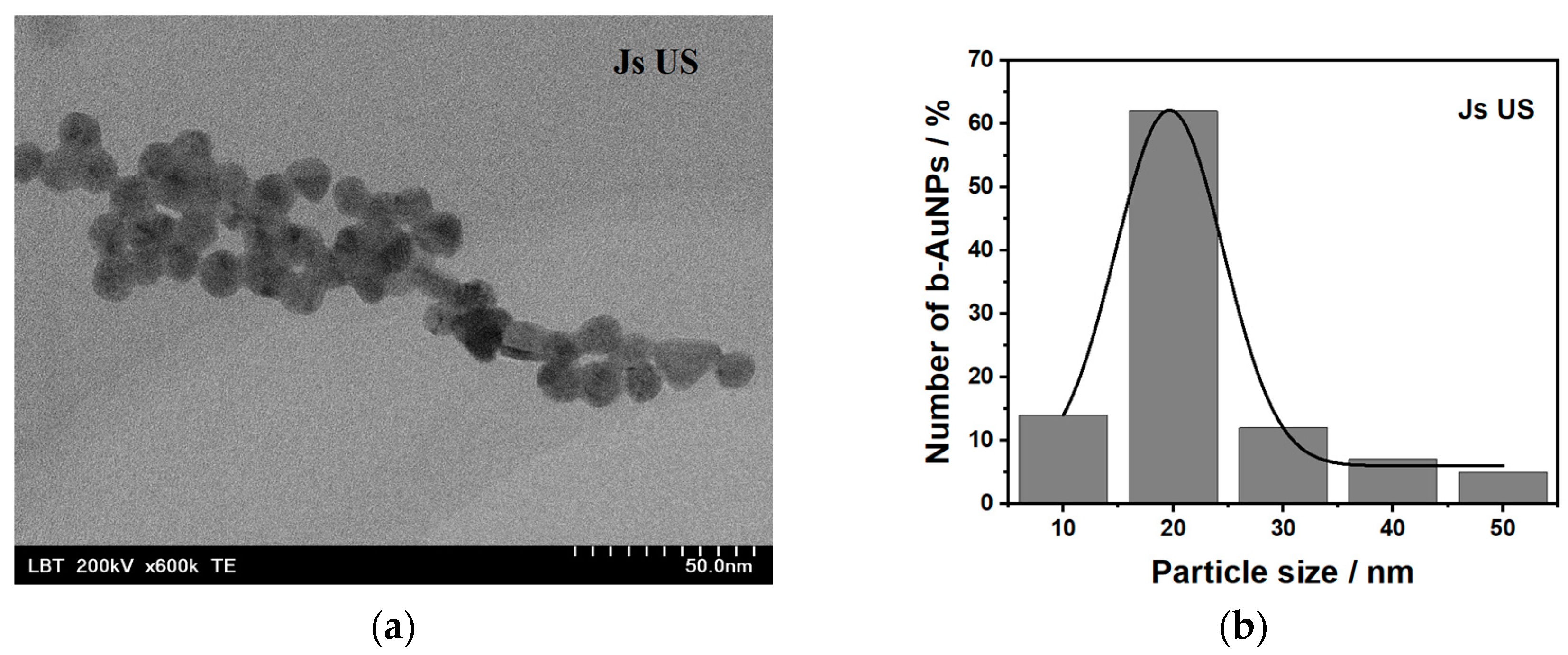 Pharmaceuticals 17 01105 g003a