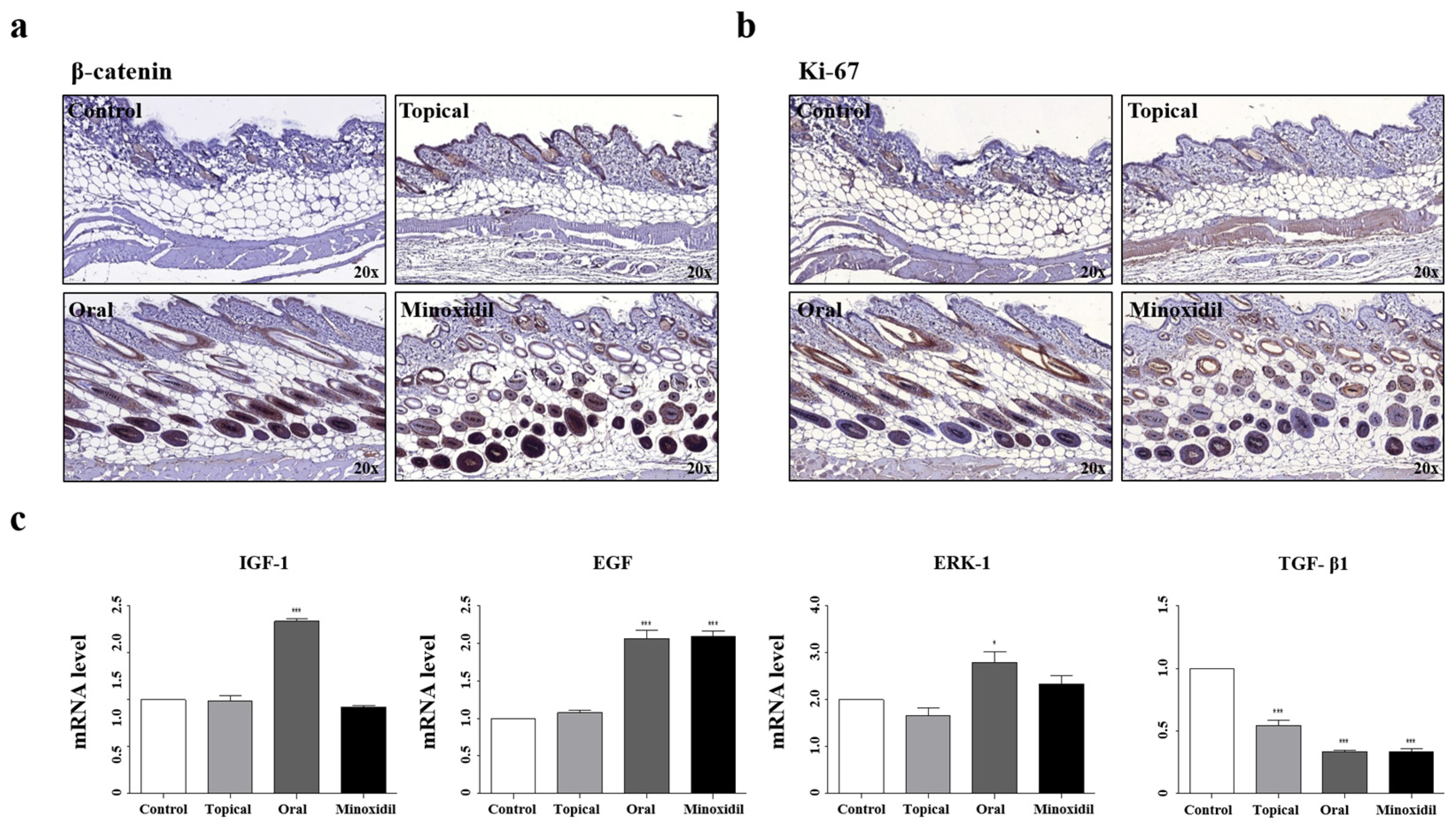 Hair Growth Promoting Effects of Solubilized Sturgeon Oil