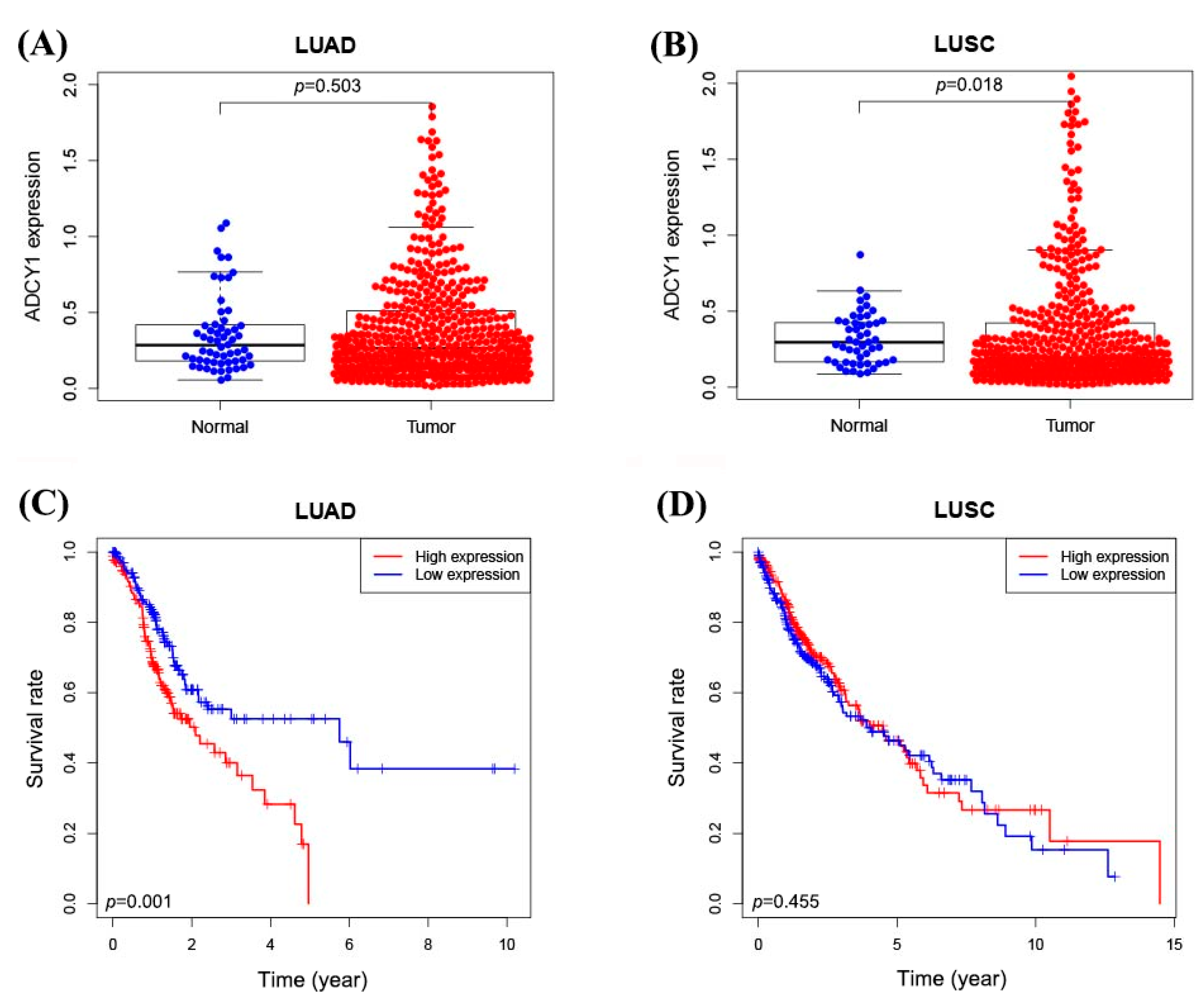 Pharmaceuticals 17 01118 g001 Pharmaceuticals 17 01118 g001