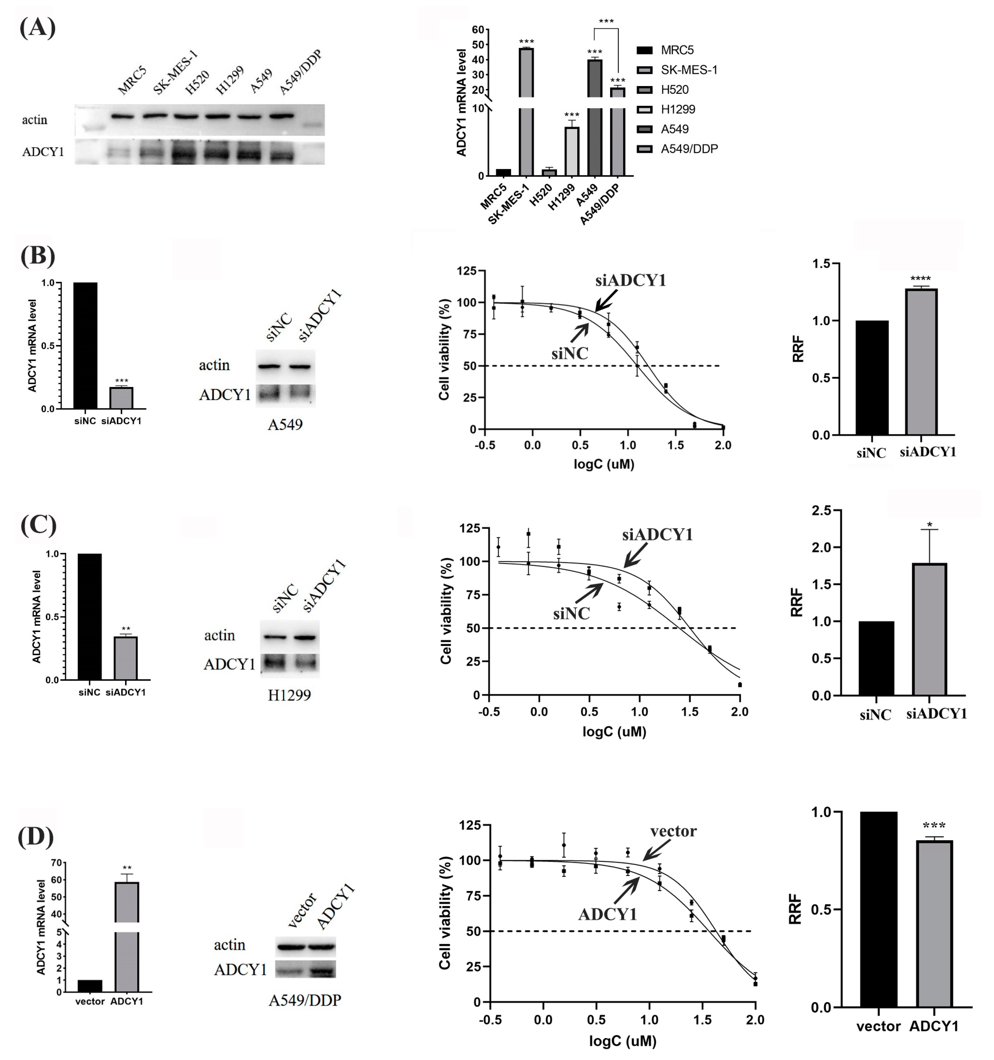 Pharmaceuticals 17 01118 g002 Pharmaceuticals 17 01118 g002