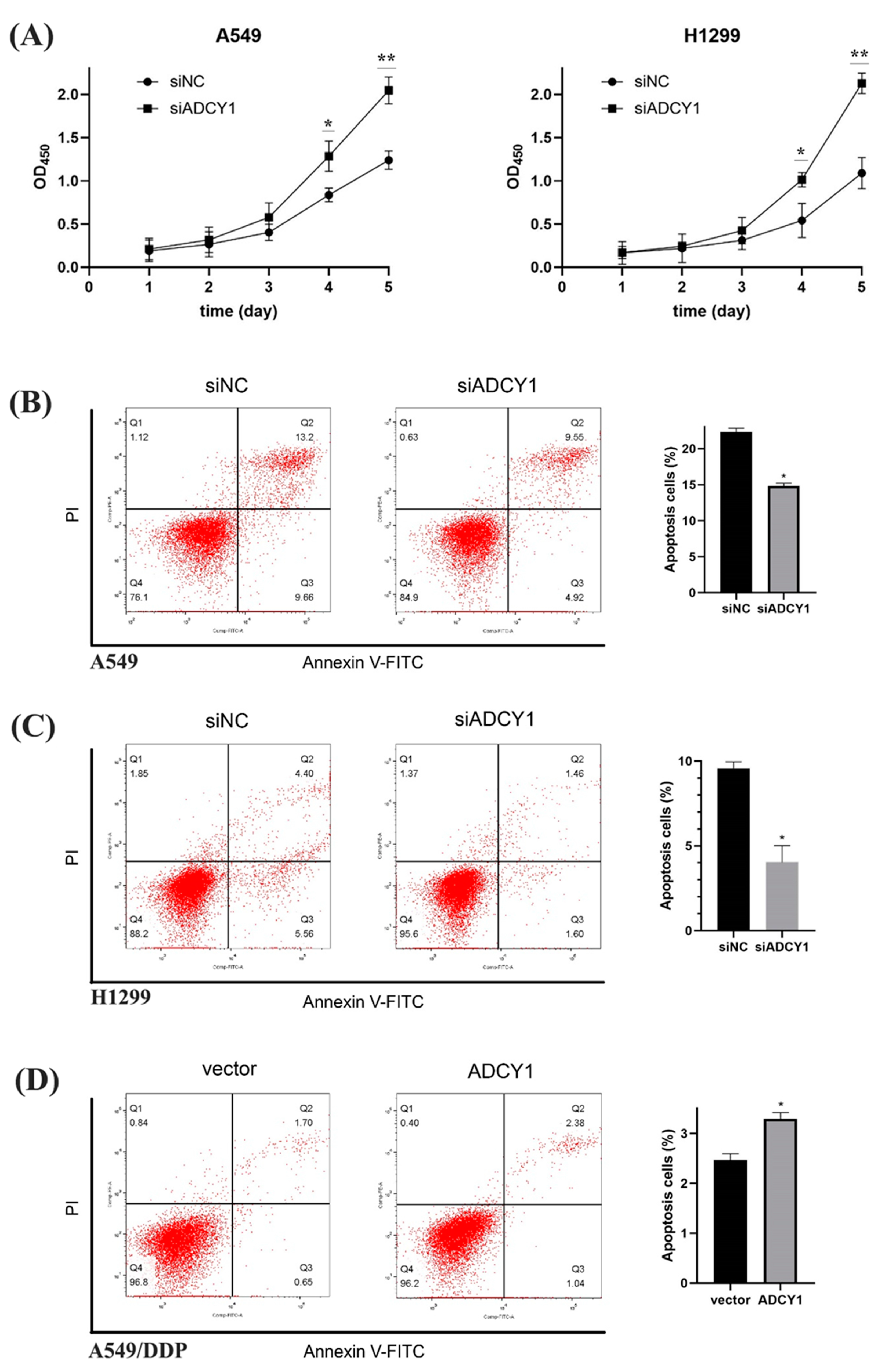 Pharmaceuticals 17 01118 g003 Pharmaceuticals 17 01118 g003