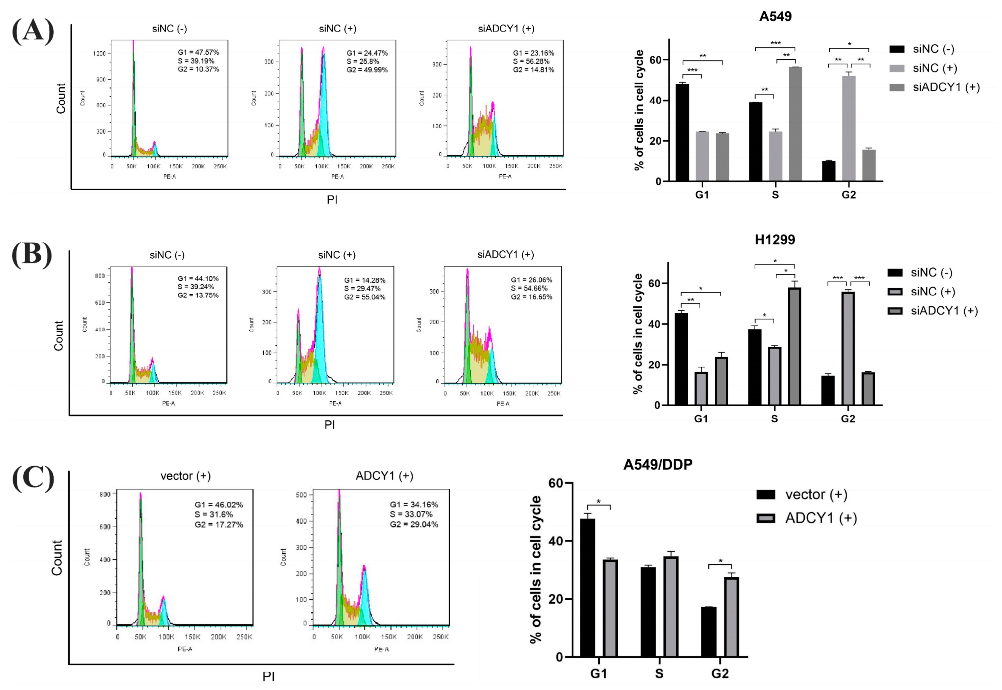 Pharmaceuticals 17 01118 g004 Pharmaceuticals 17 01118 g004