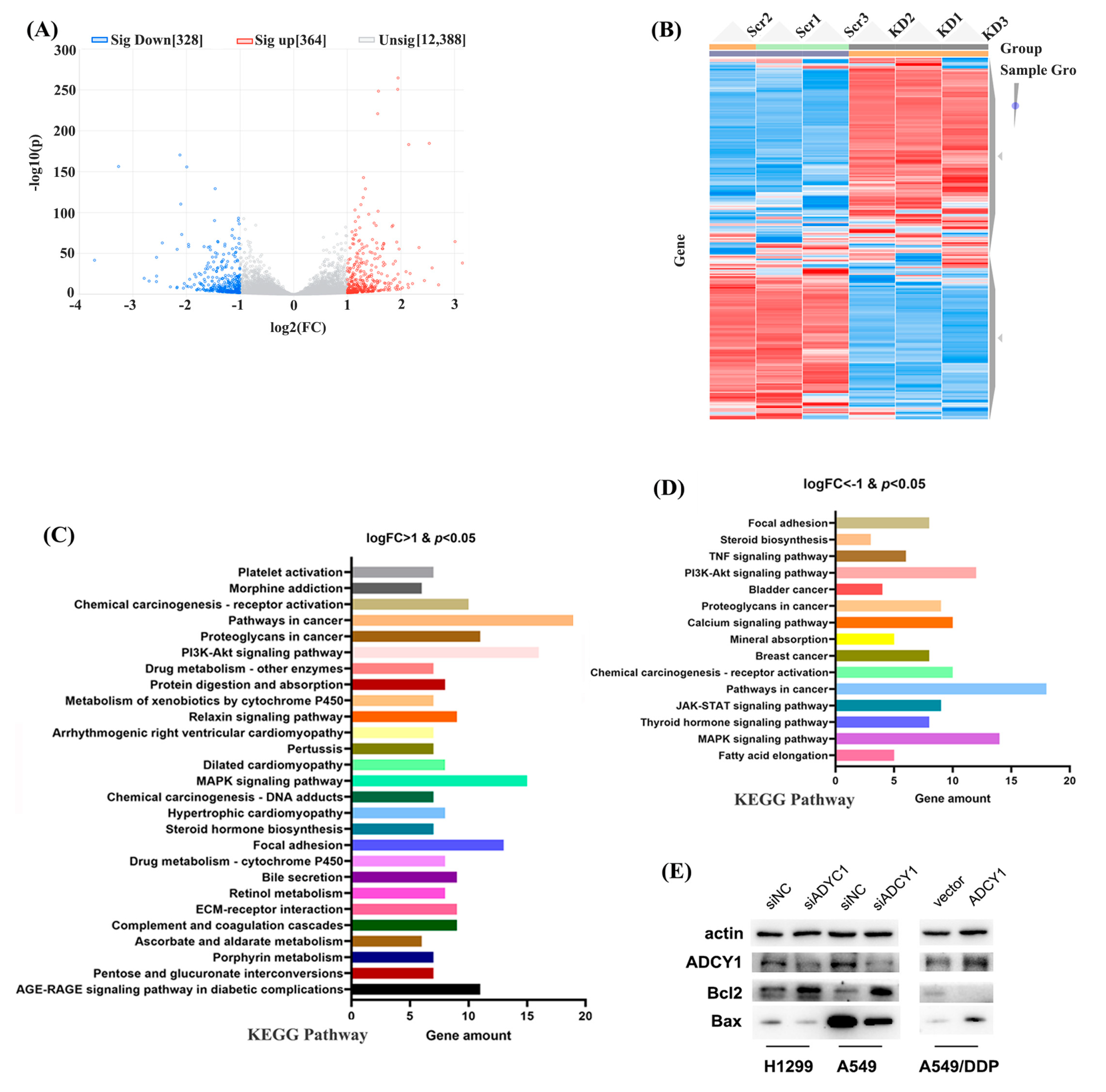 Pharmaceuticals 17 01118 g005 Pharmaceuticals 17 01118 g005