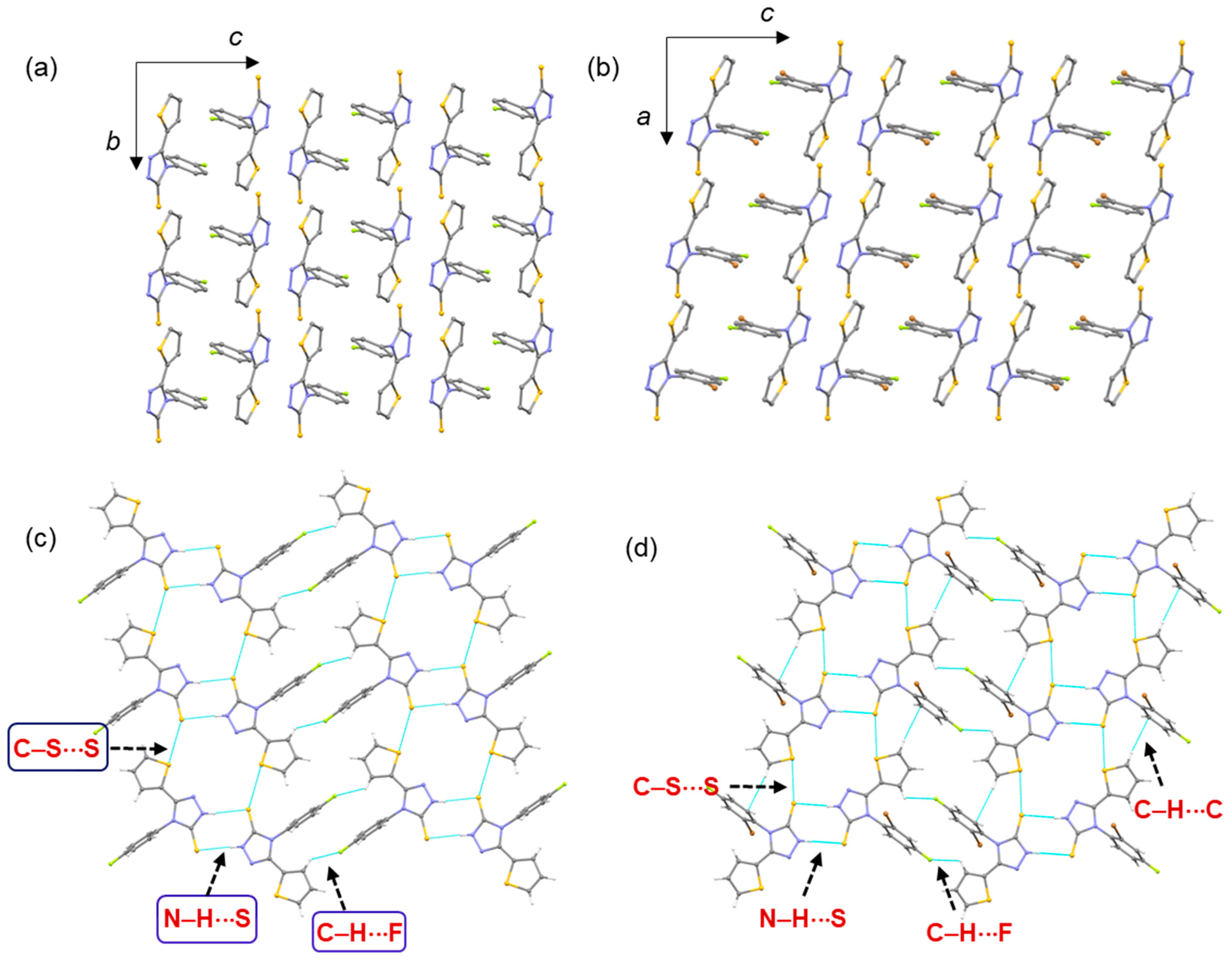 Pharmaceuticals 17 01123 g004
