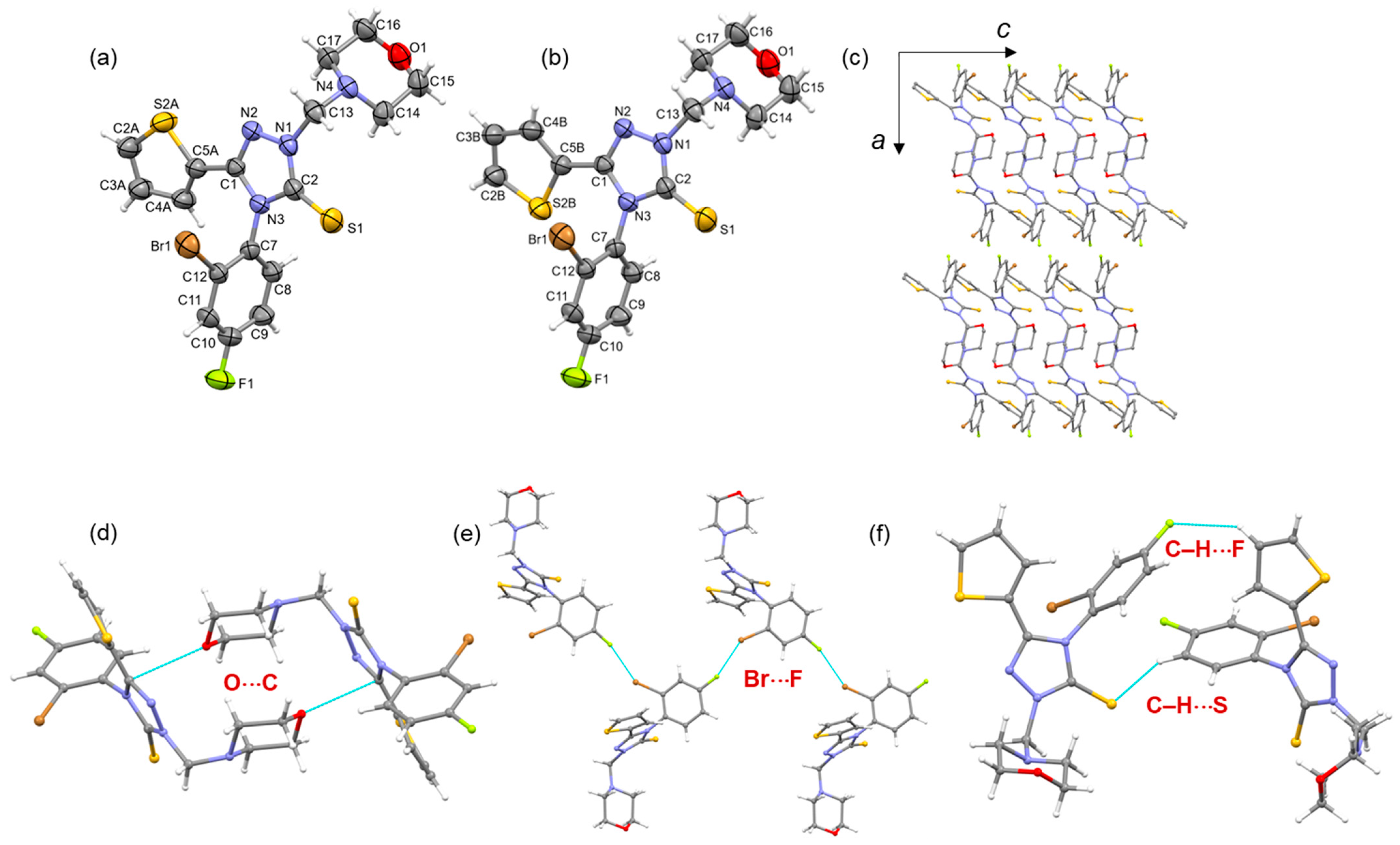 Pharmaceuticals 17 01123 g008