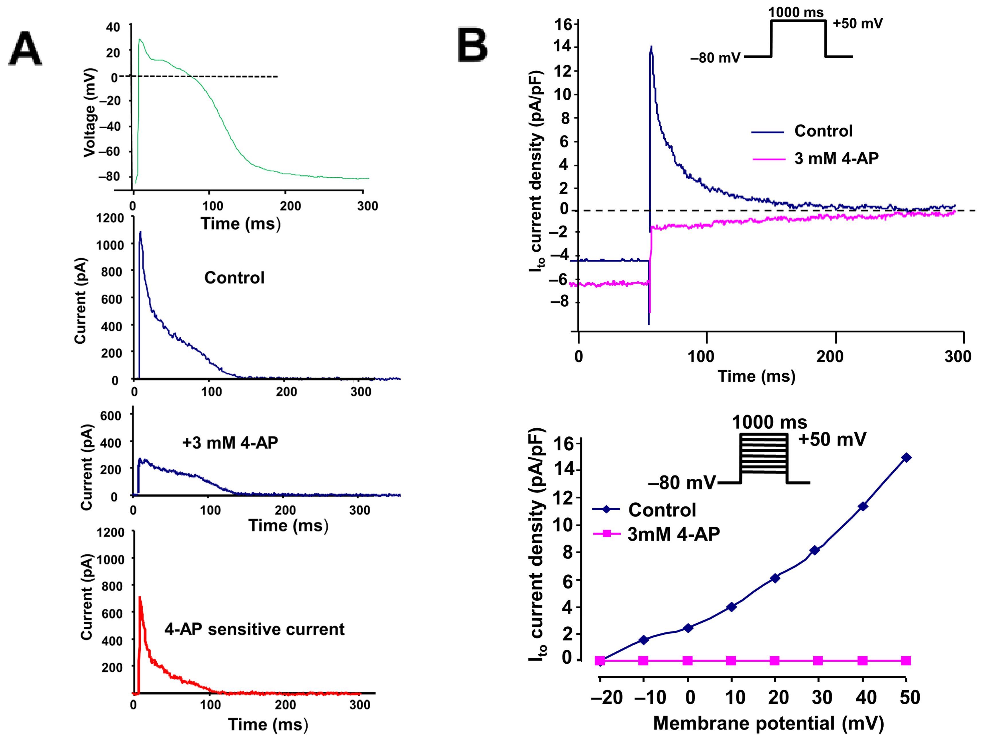 Pharmaceuticals 17 01138 g001