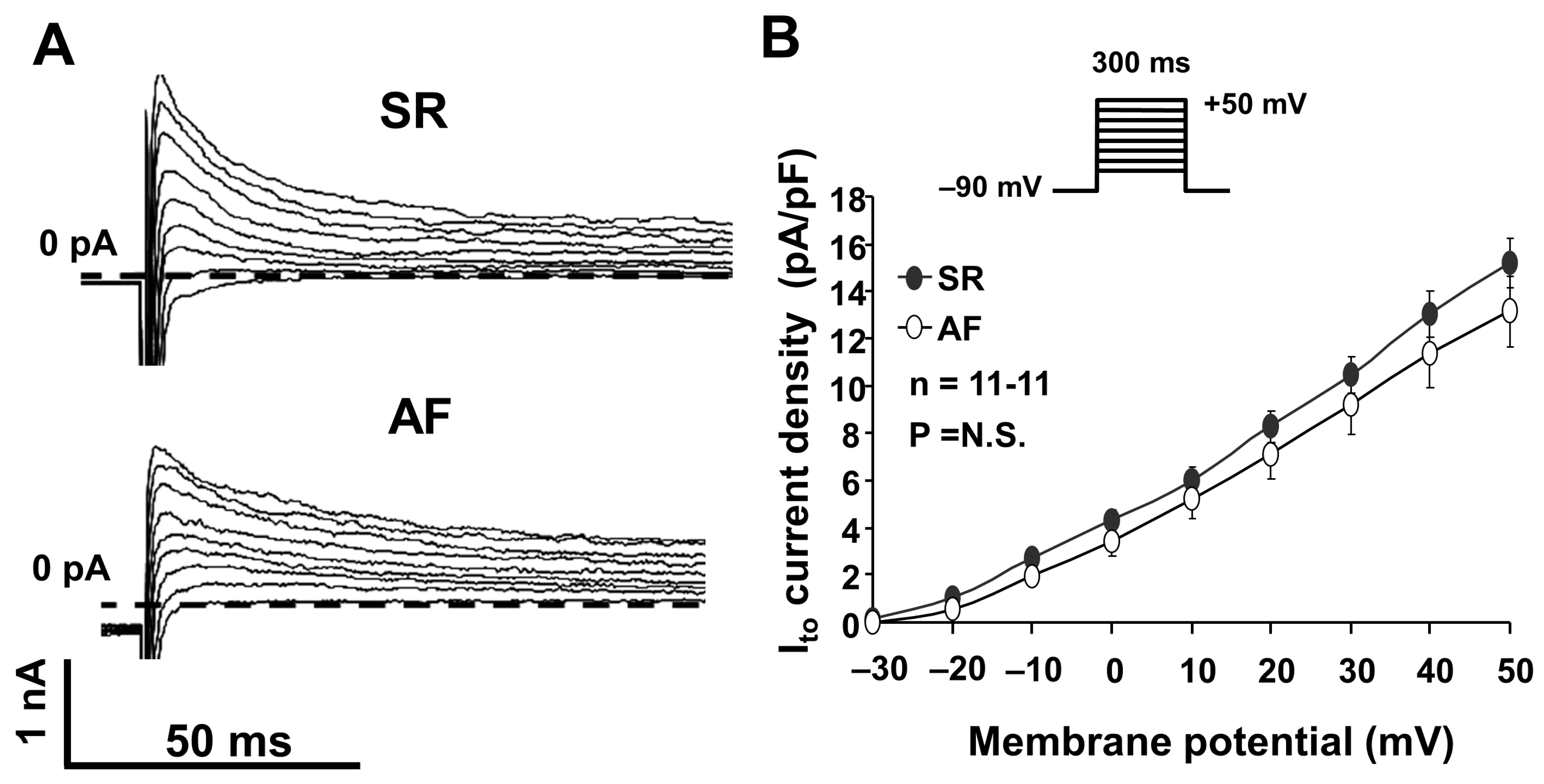 Pharmaceuticals 17 01138 g002