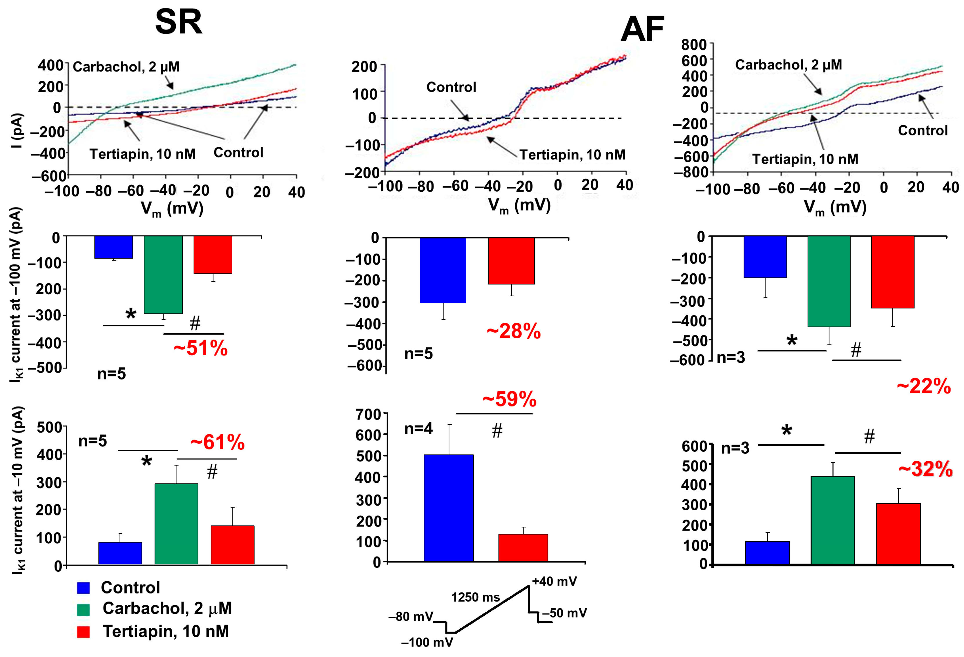 Pharmaceuticals 17 01138 g005