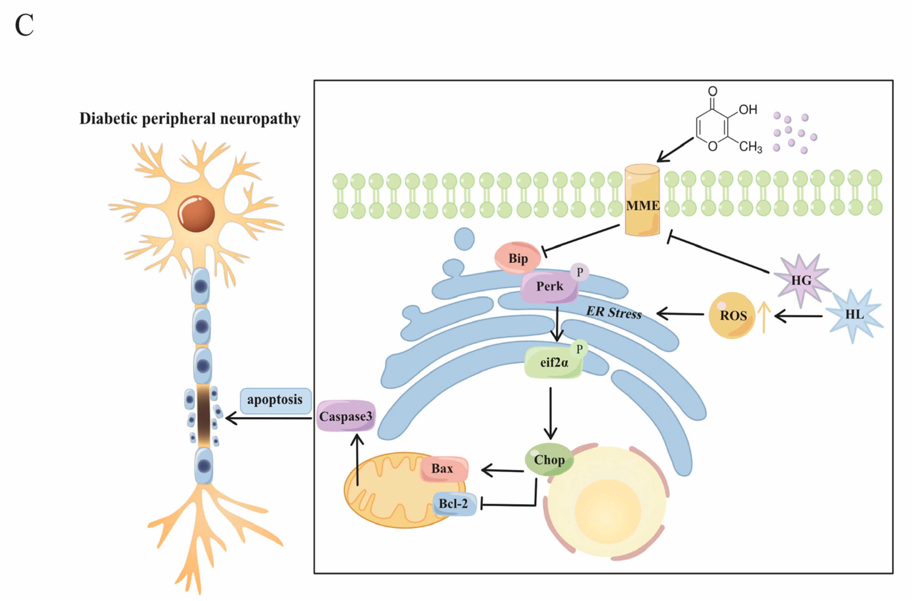 Pharmaceuticals 17 01139 g009b