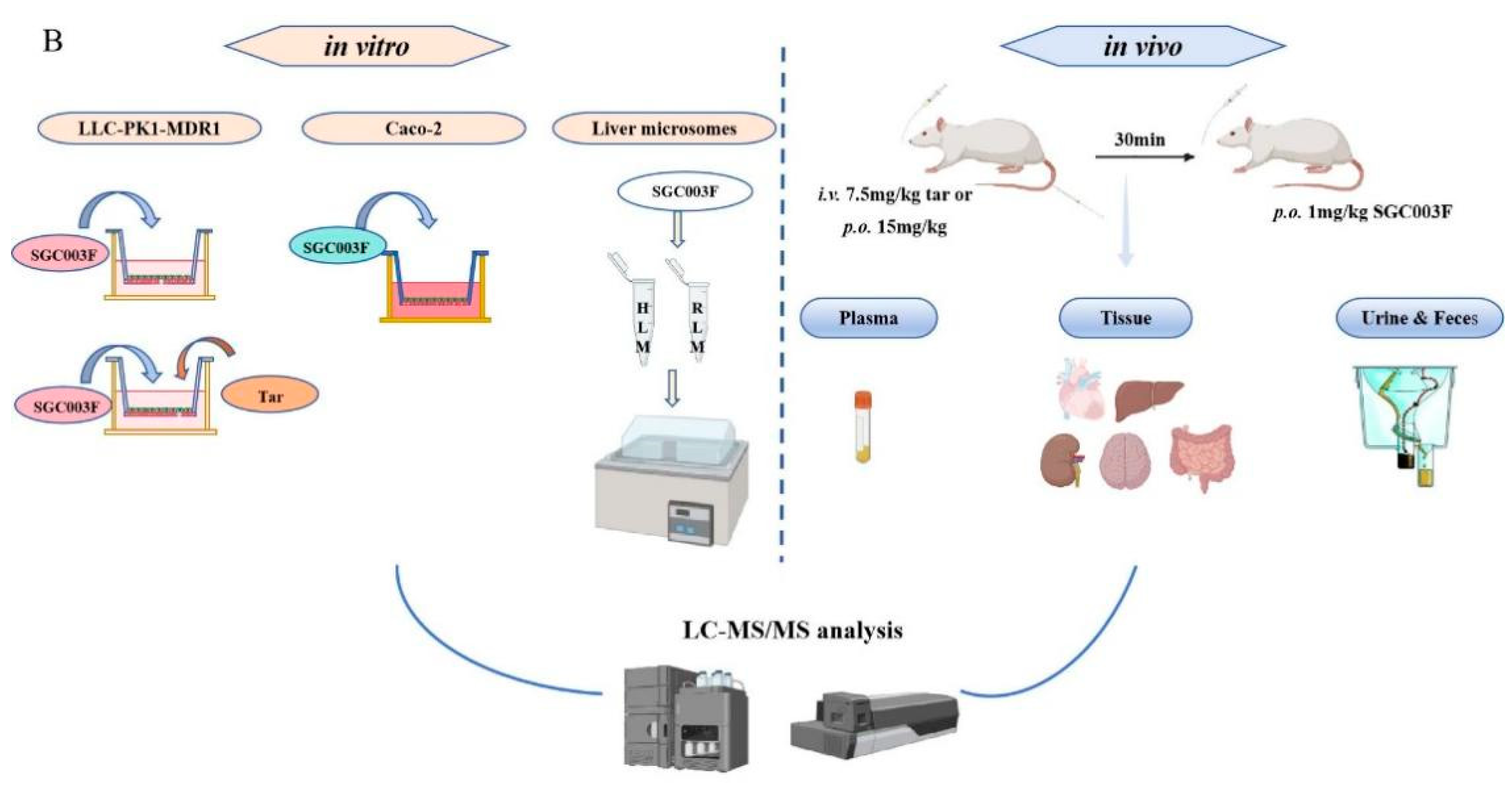 Pharmaceuticals 17 01140 g001b