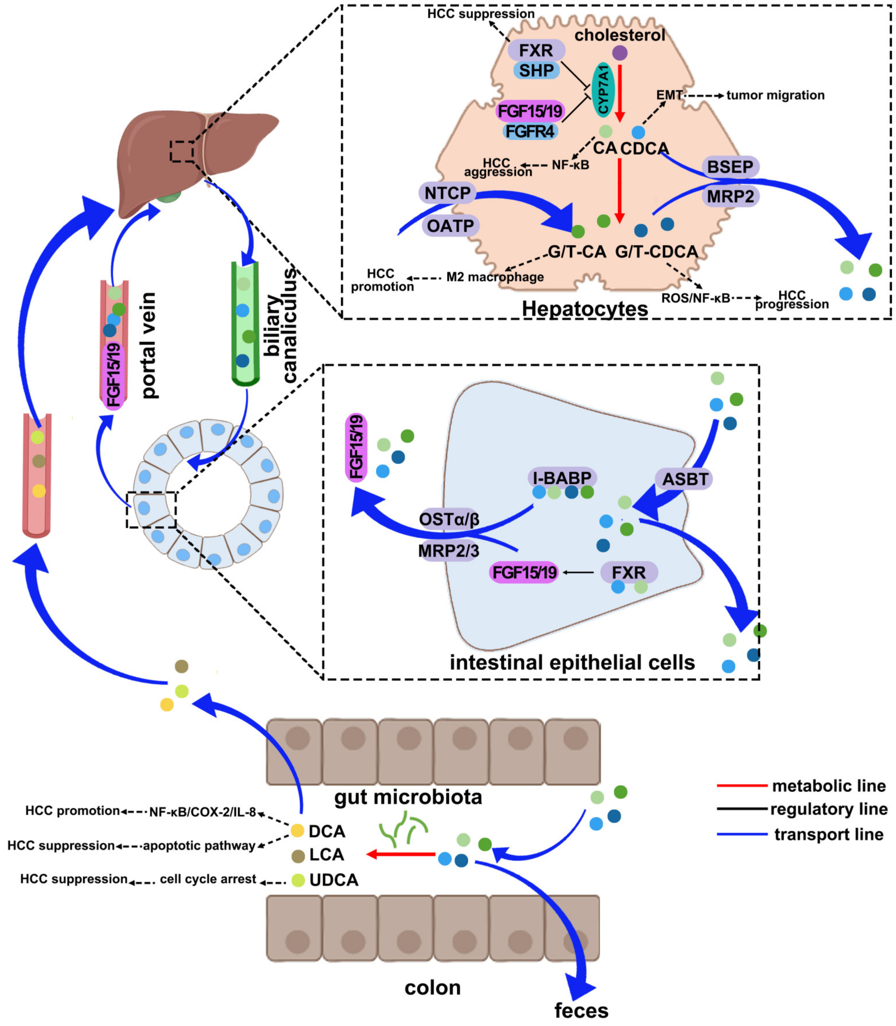 Pharmaceuticals 17 01142 g001