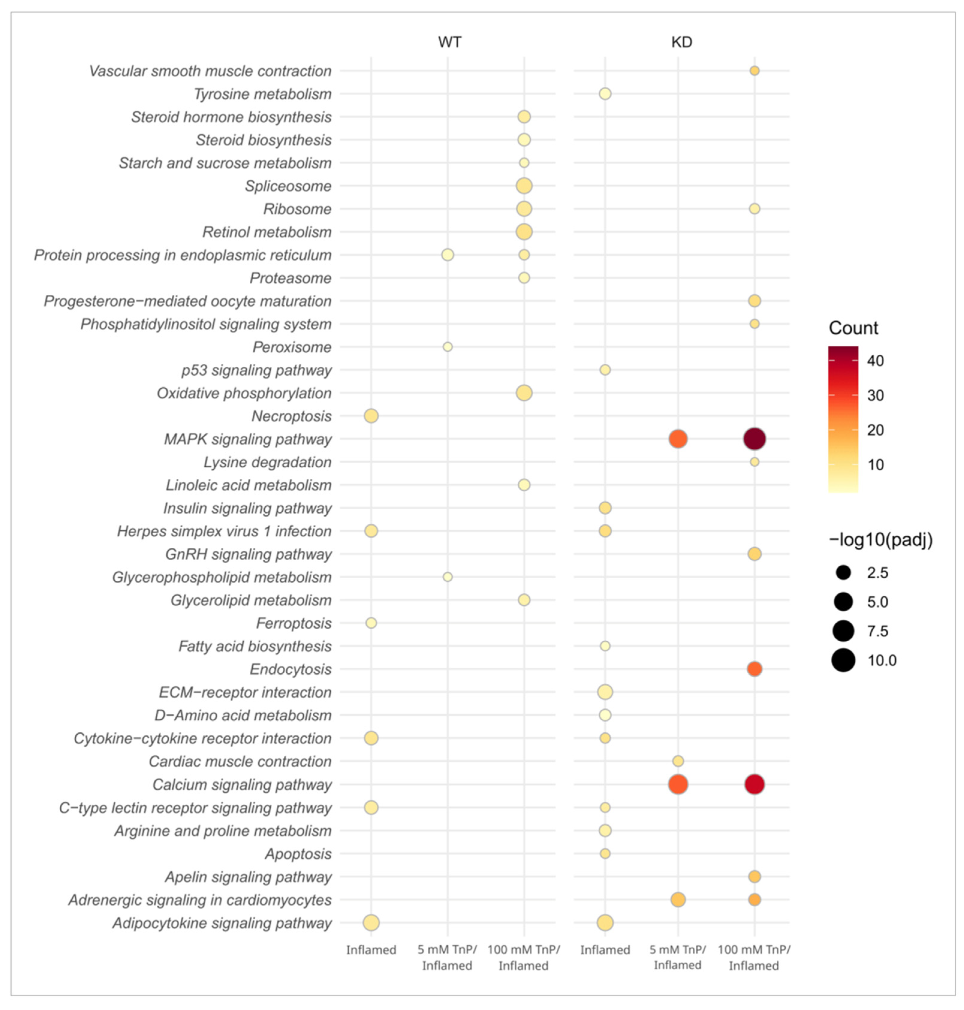 Pharmaceuticals 17 01155 g006