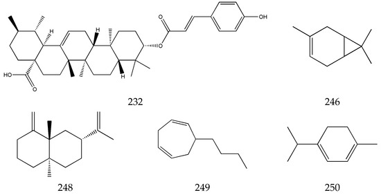 Evaluation of the Pharmaceutical Activities of Chuanxiong, a
