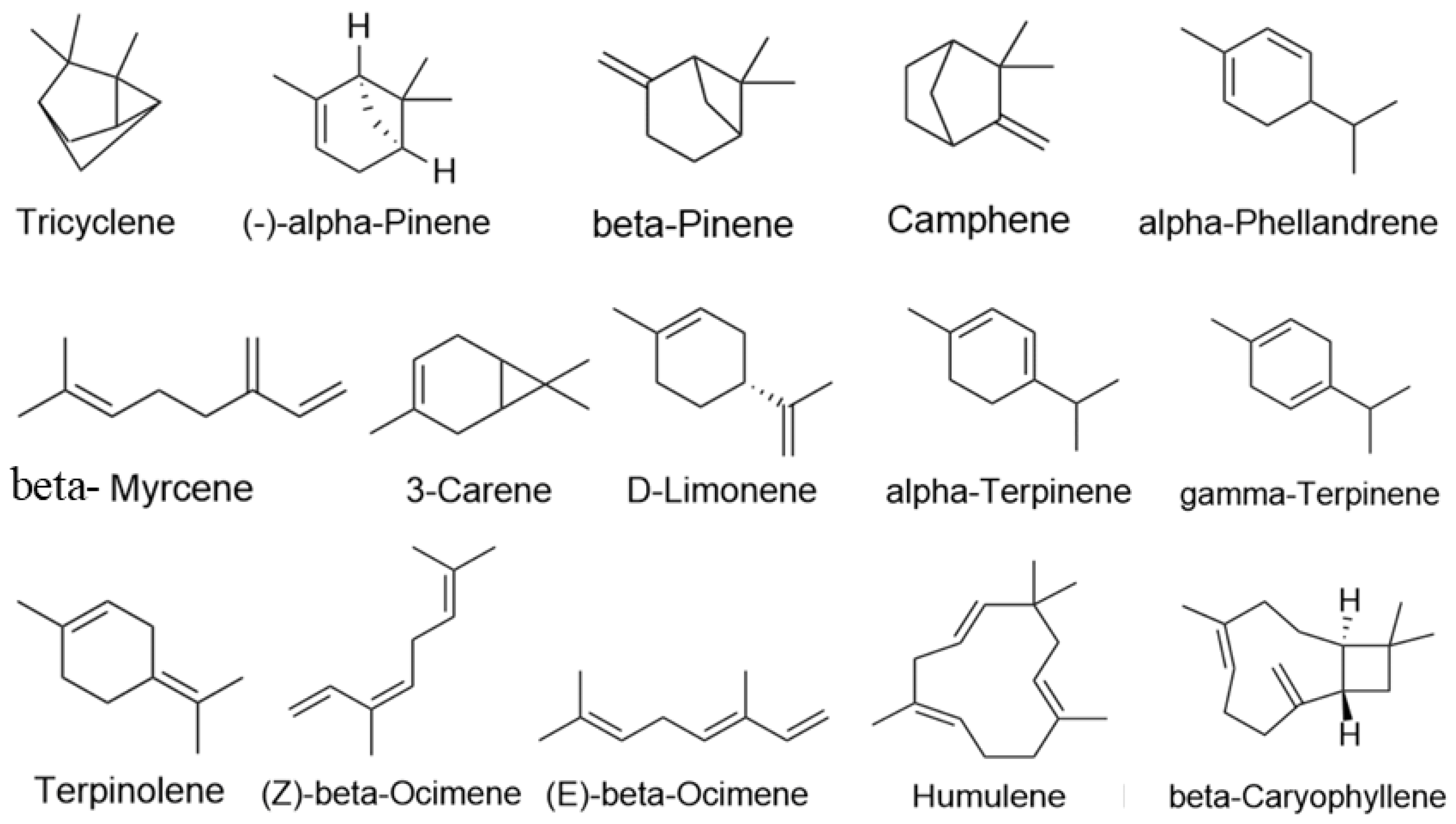 Pharmaceuticals 17 01161 g009