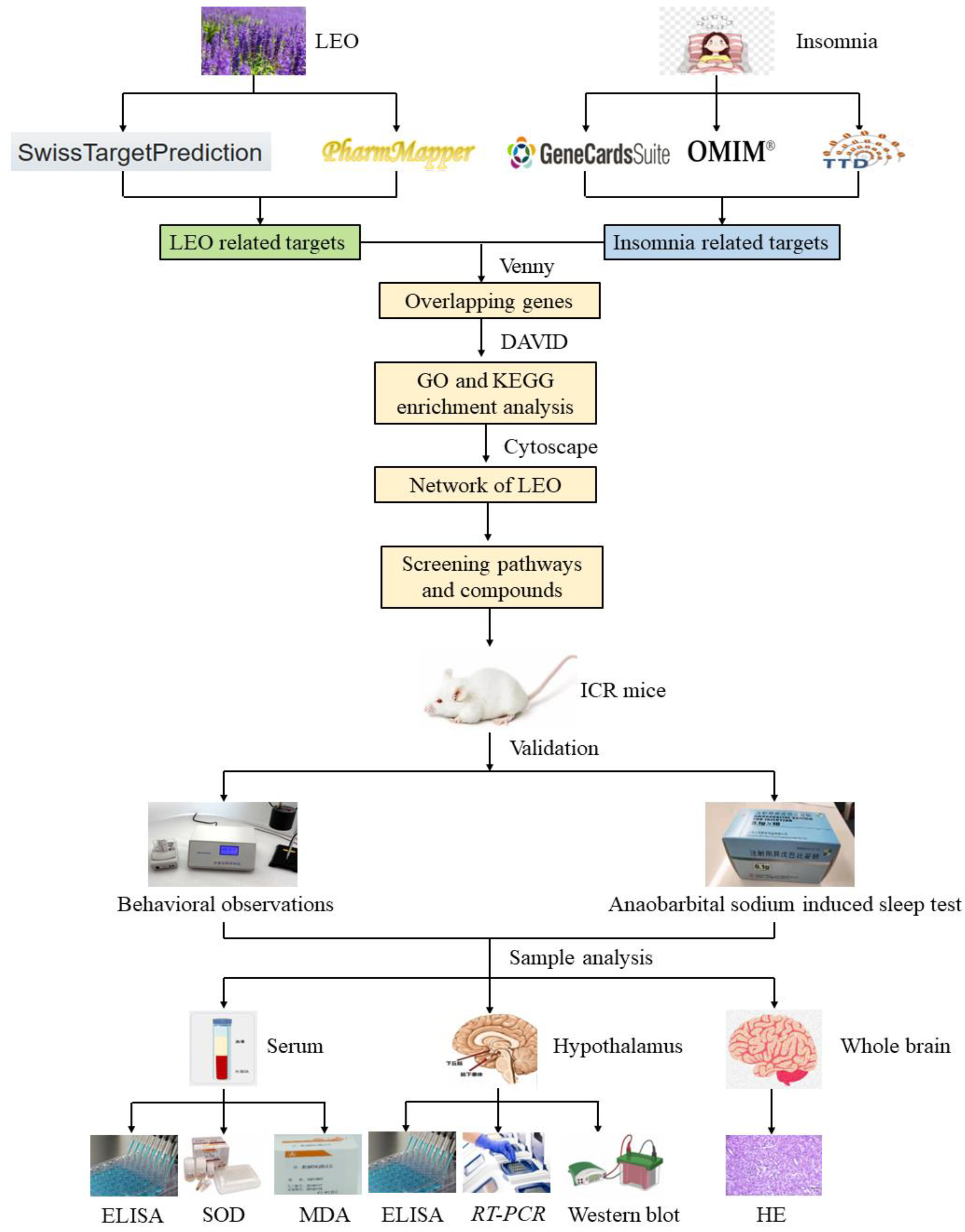 Pharmaceuticals 17 01161 g011