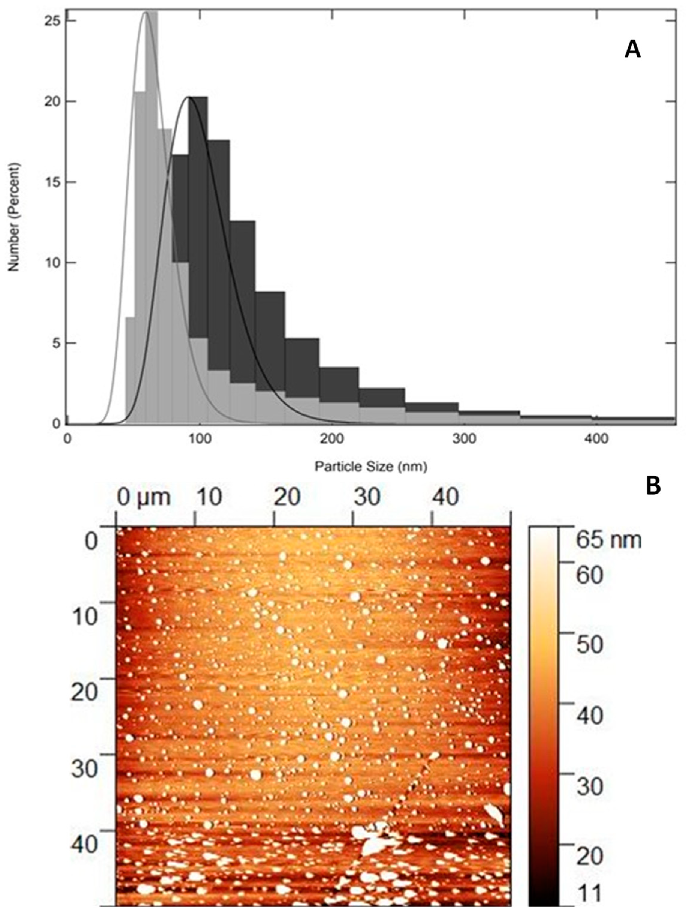 Pharmaceuticals 17 01169 g001