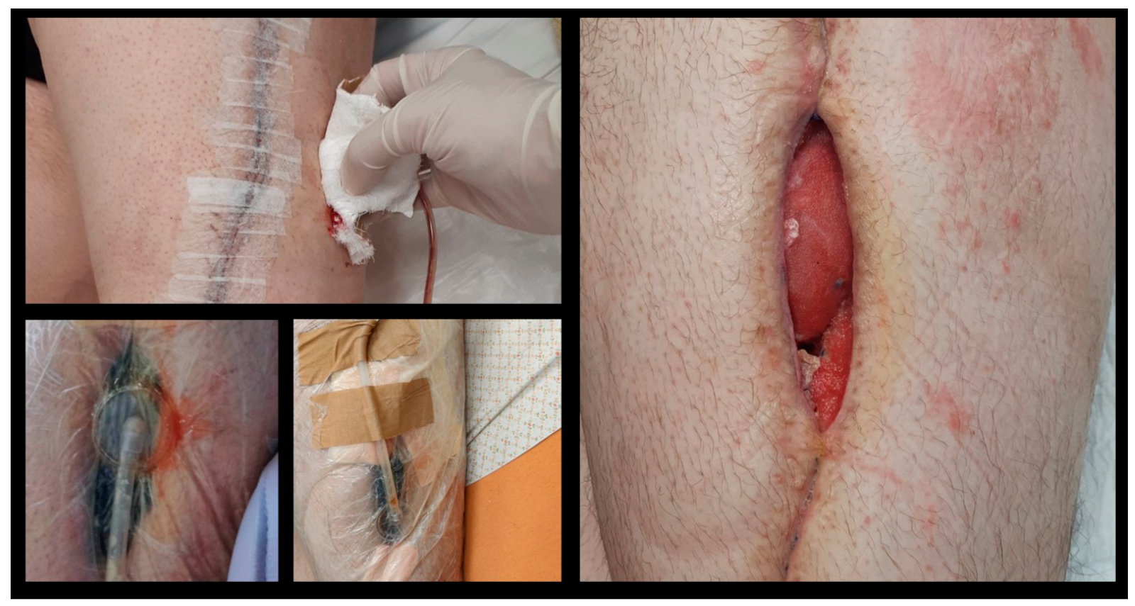 Pharmaceuticals 17 01174 g003