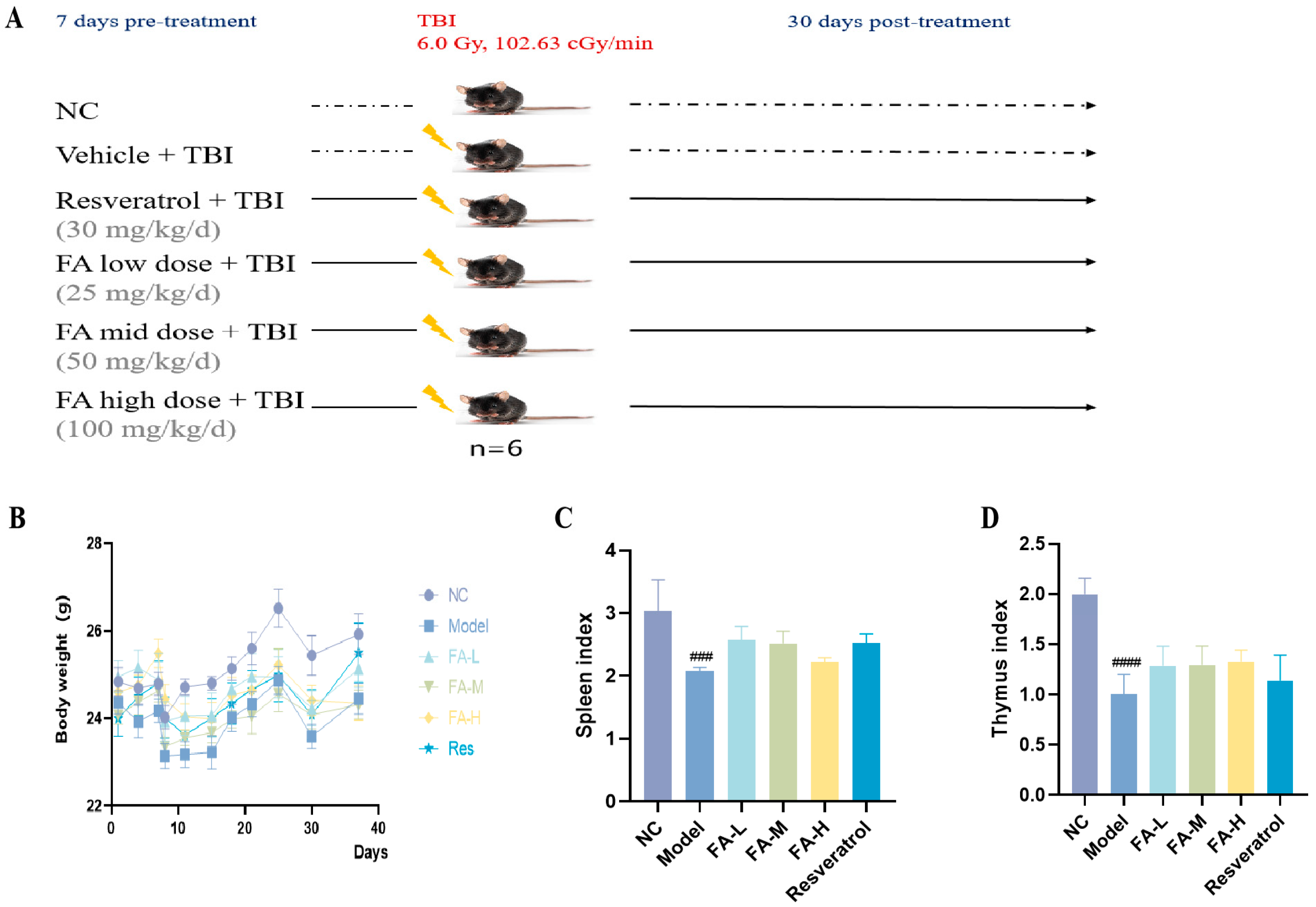 Pharmaceuticals 17 01175 g001