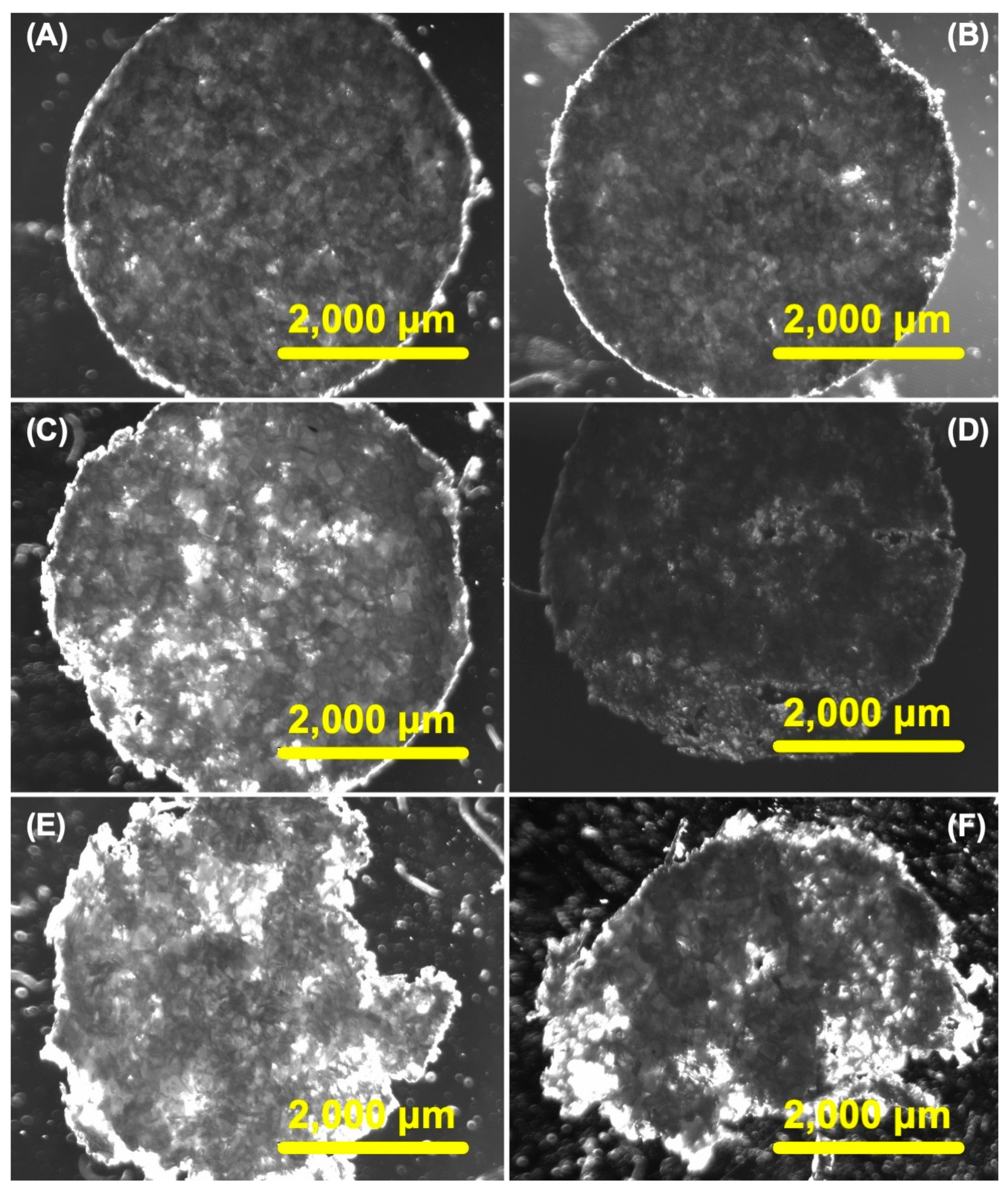 Pharmaceuticals 17 01177 g003 Pharmaceuticals 17 01177 g003