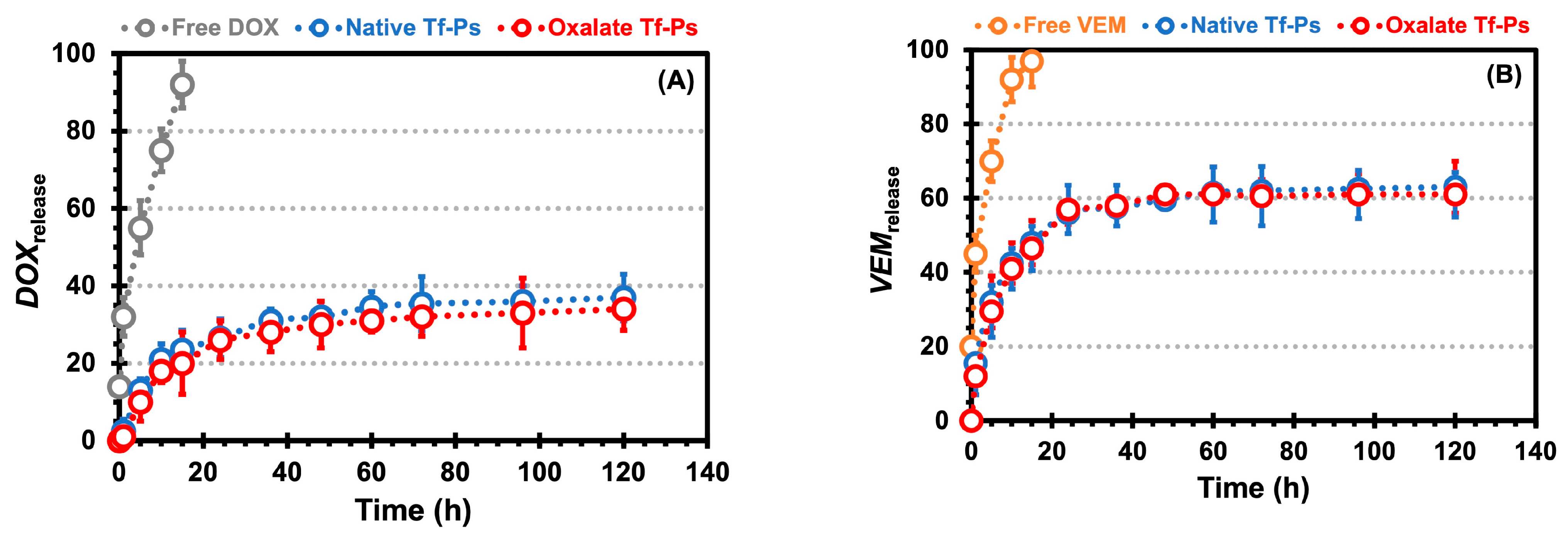 Pharmaceuticals 17 01177 g005 Pharmaceuticals 17 01177 g005