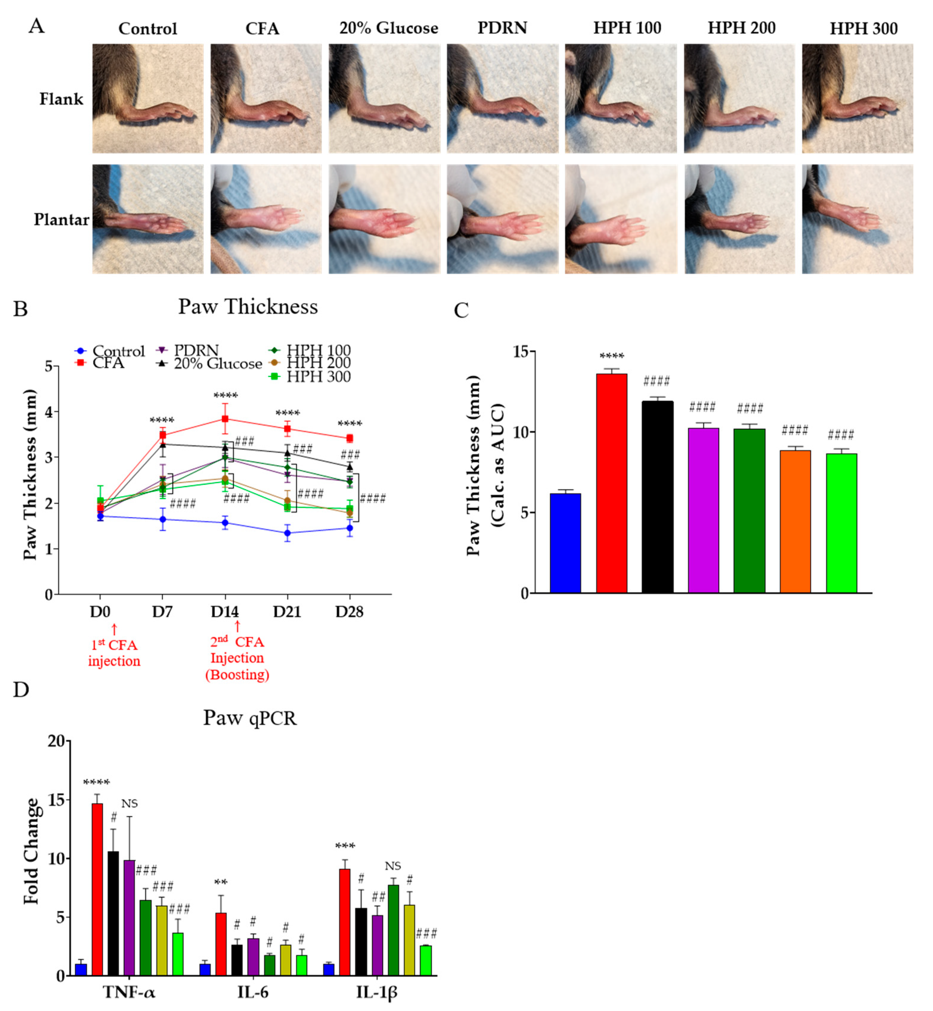 Pharmaceuticals 17 01179 g002 Pharmaceuticals 17 01179 g002