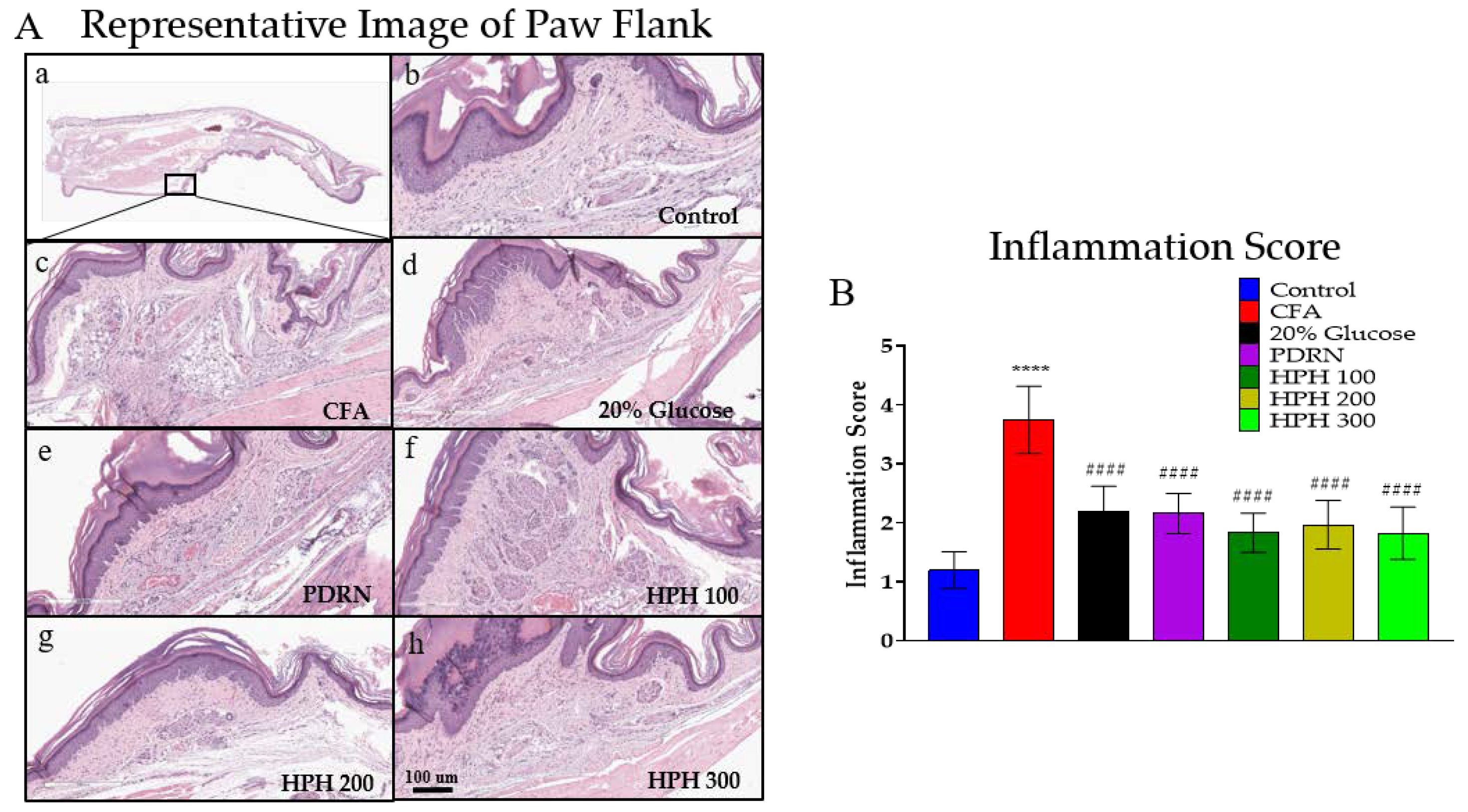 Pharmaceuticals 17 01179 g003 Pharmaceuticals 17 01179 g003