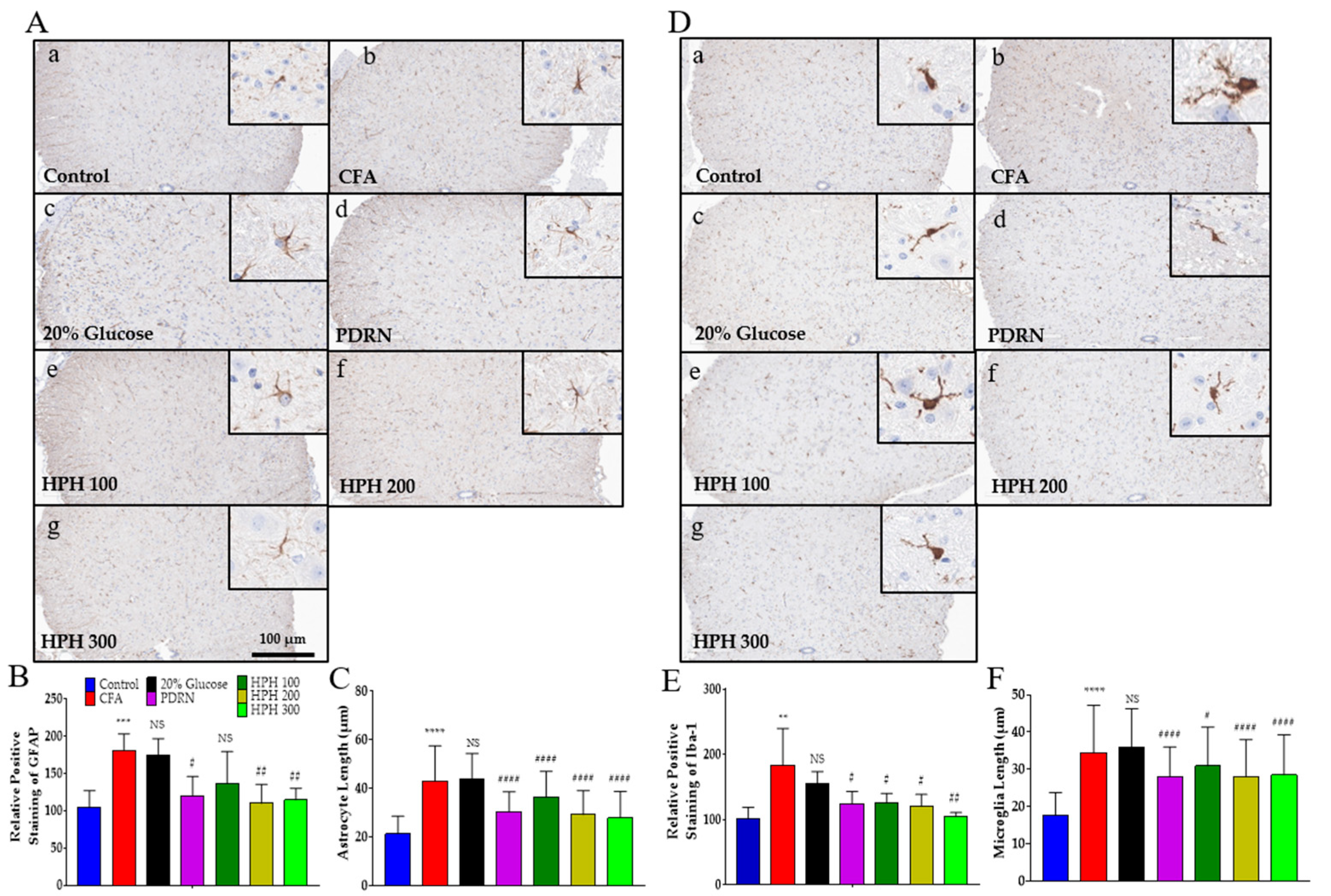 Pharmaceuticals 17 01179 g005 Pharmaceuticals 17 01179 g005