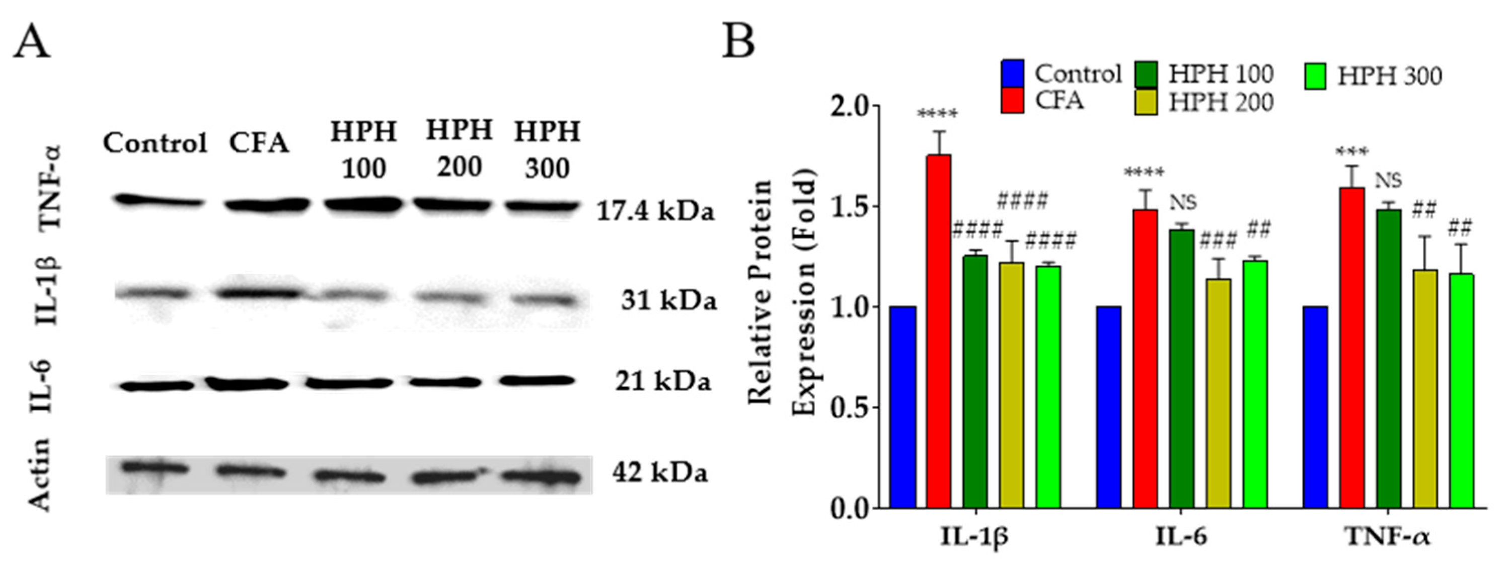Pharmaceuticals 17 01179 g006 Pharmaceuticals 17 01179 g006