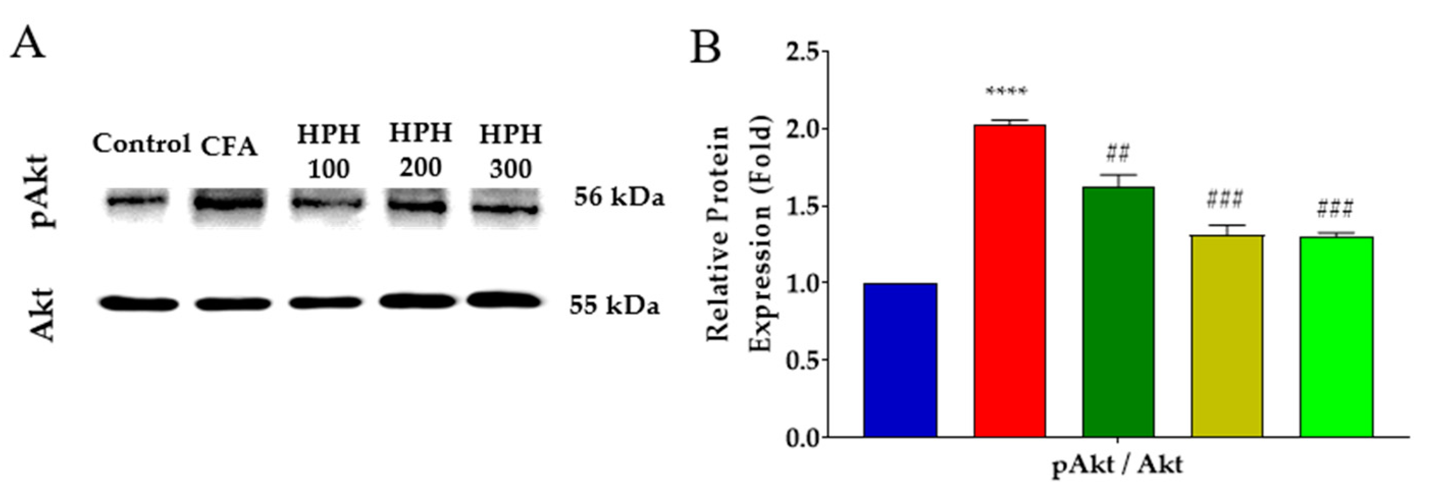 Pharmaceuticals 17 01179 g007 Pharmaceuticals 17 01179 g007