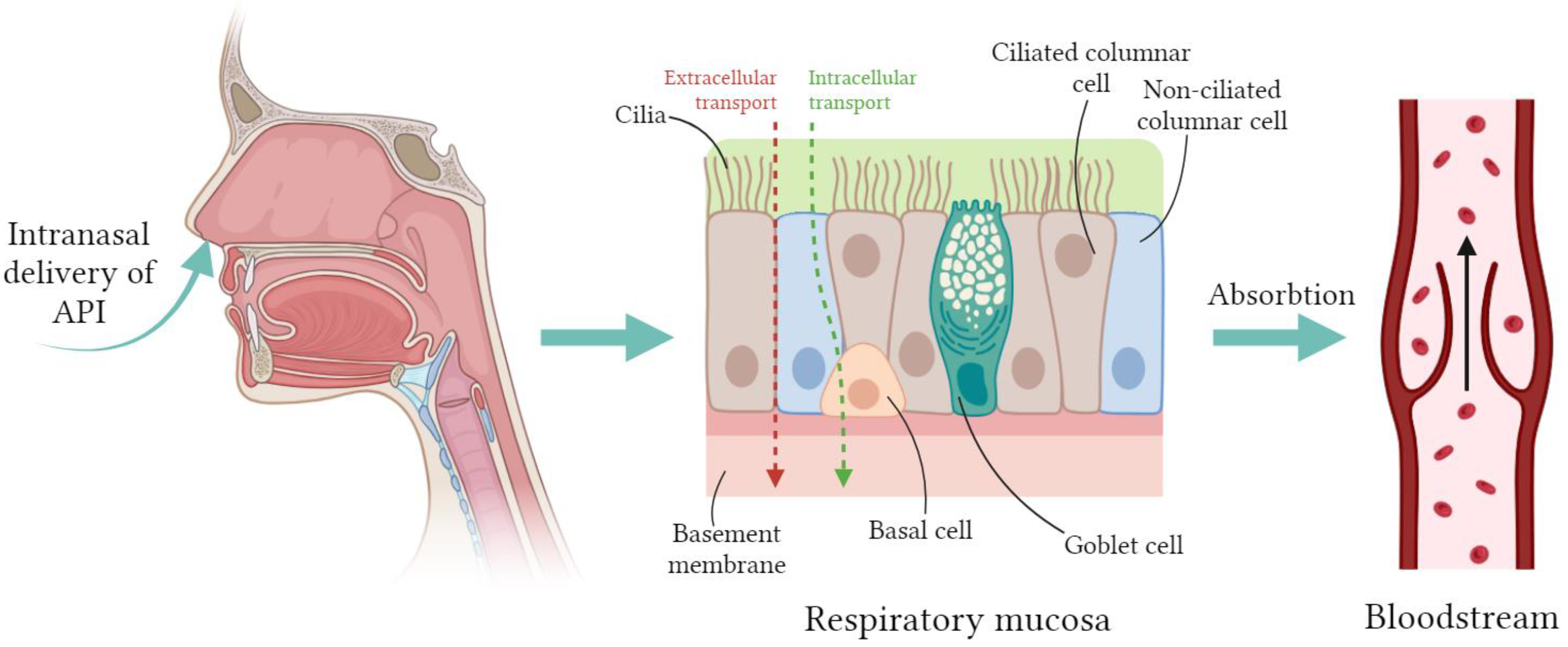 Pharmaceuticals 17 01180 g002