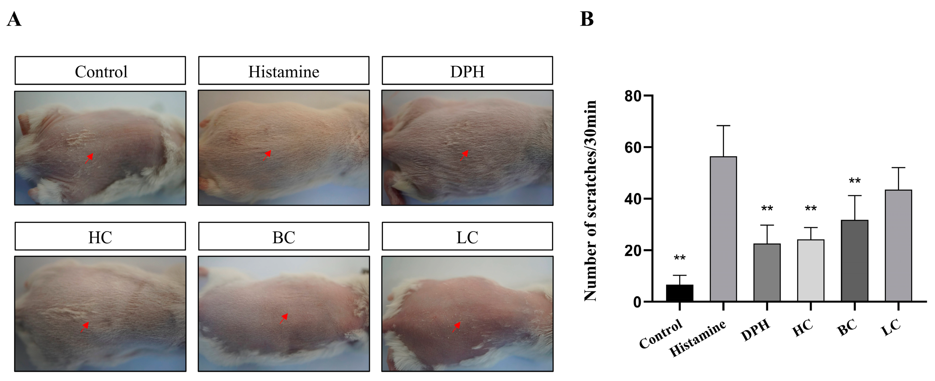 Pharmaceuticals 17 01181 g005 Pharmaceuticals 17 01181 g005