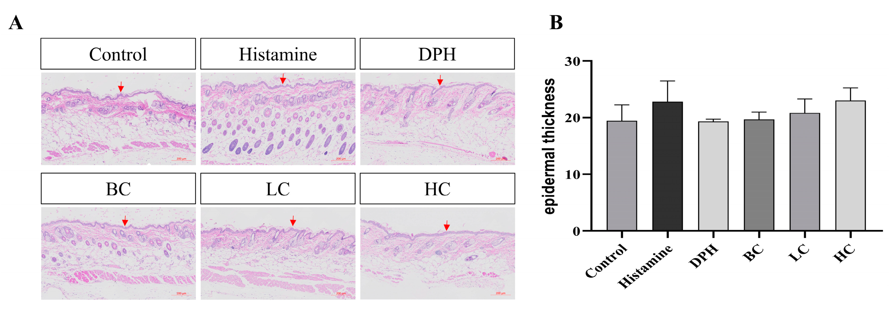 Pharmaceuticals 17 01181 g006 Pharmaceuticals 17 01181 g006