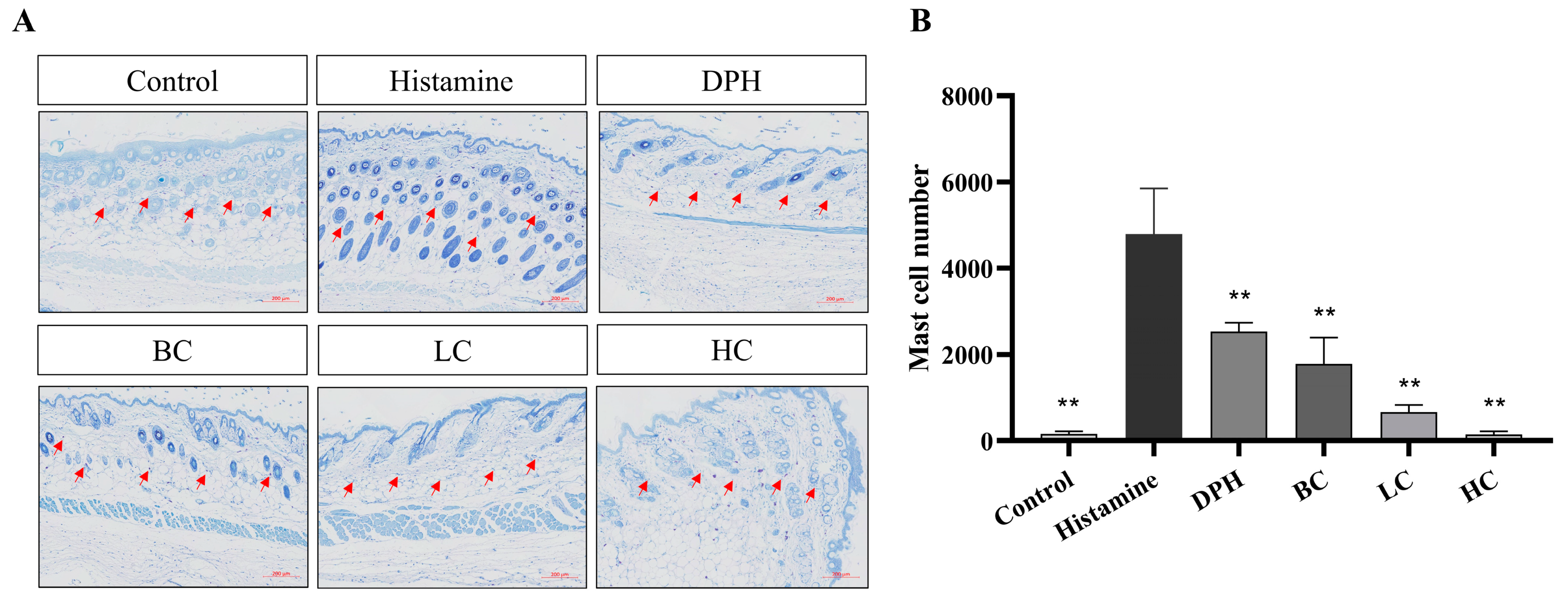 Pharmaceuticals 17 01181 g007 Pharmaceuticals 17 01181 g007