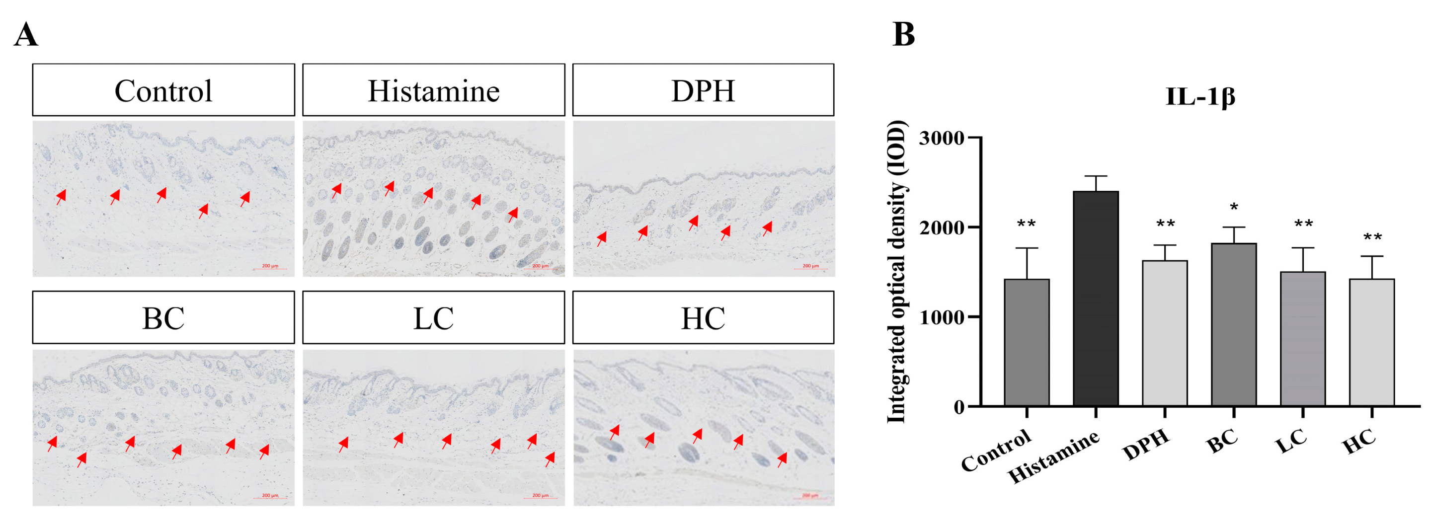 Pharmaceuticals 17 01181 g008 Pharmaceuticals 17 01181 g008