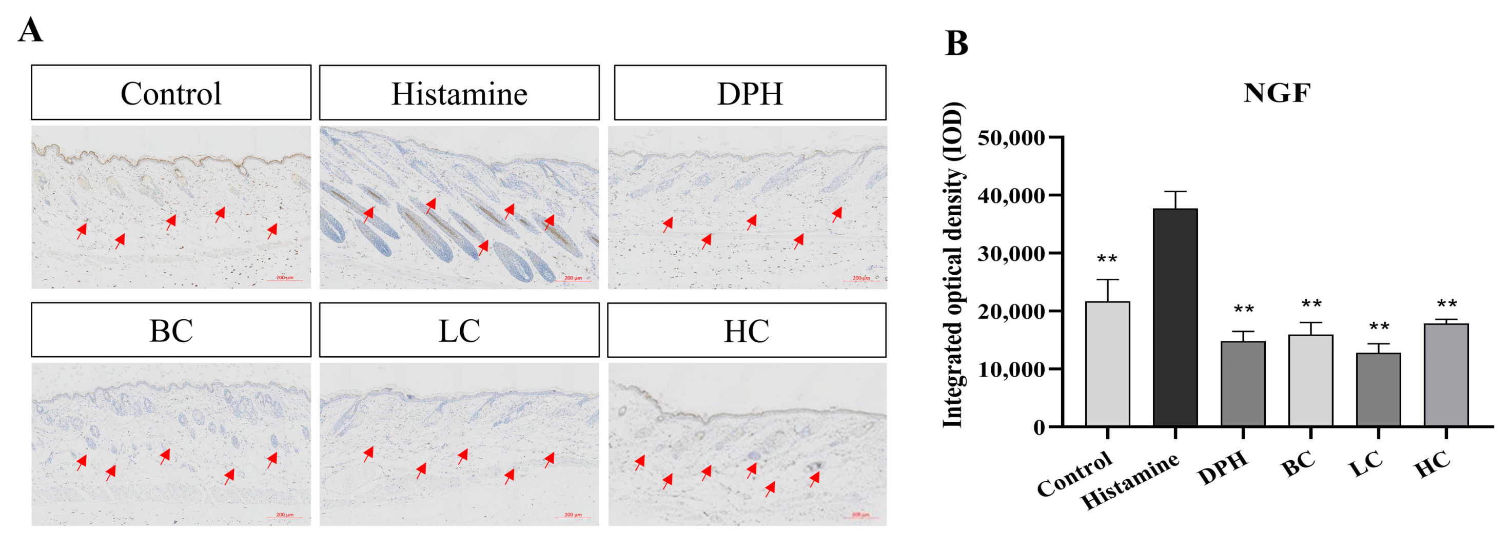 Pharmaceuticals 17 01181 g009 Pharmaceuticals 17 01181 g009
