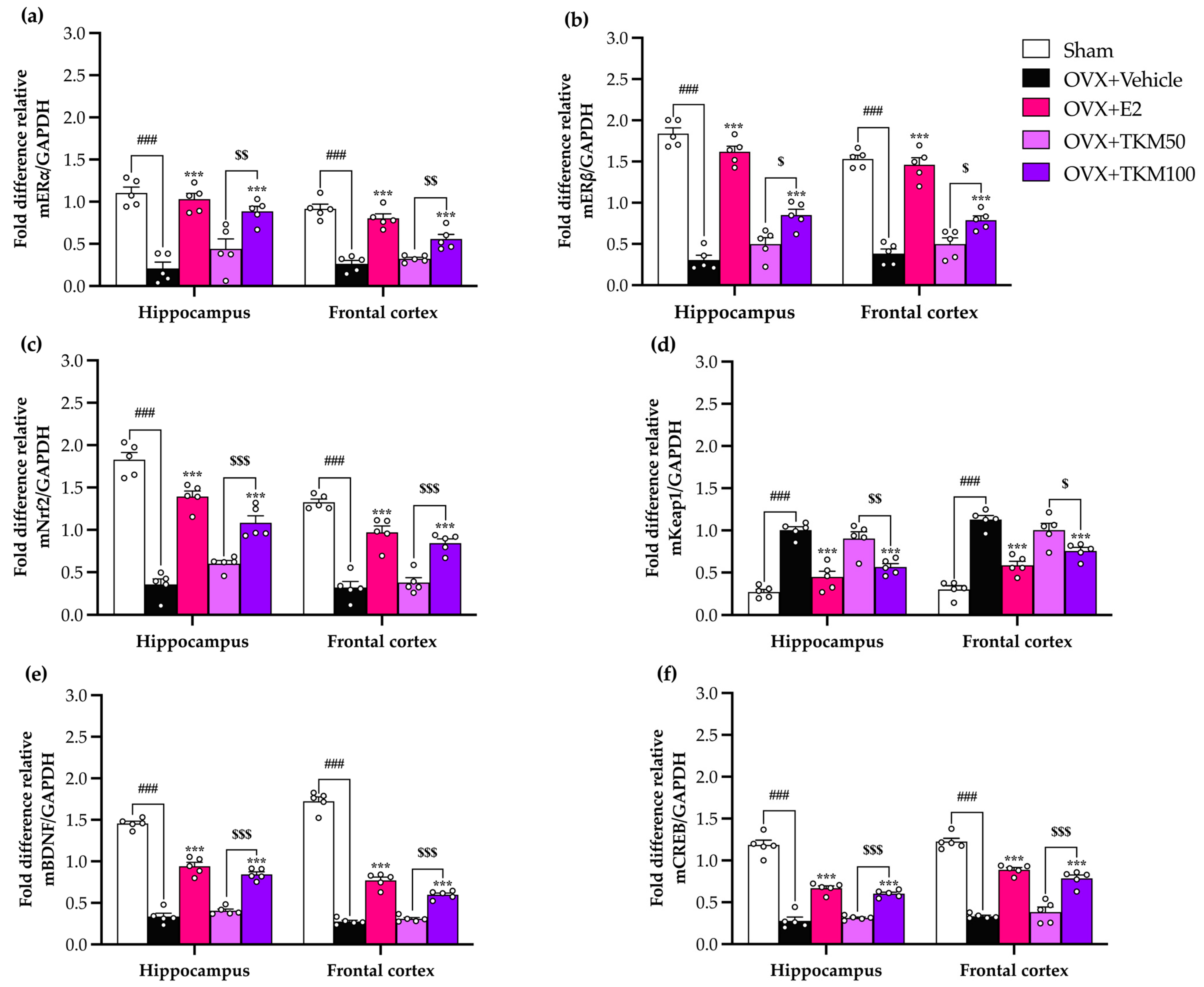 Pharmaceuticals 17 01182 g007