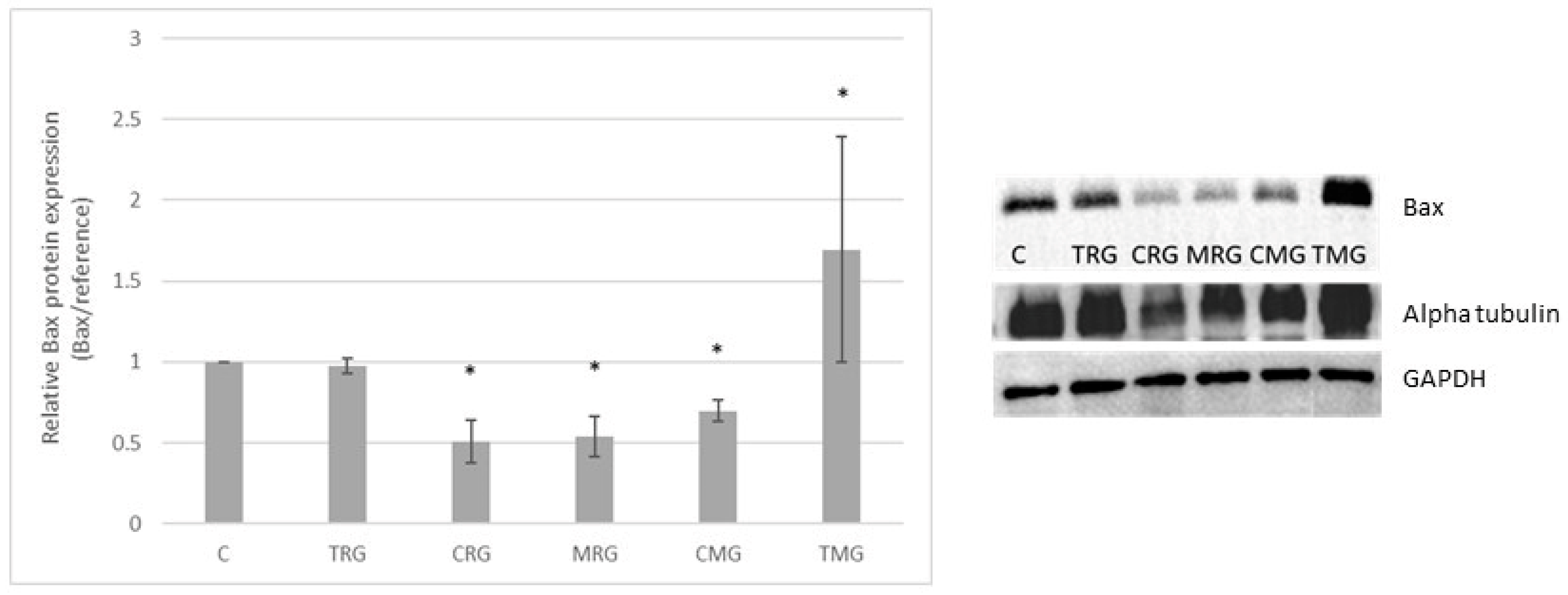 Pharmaceuticals 17 01188 g001 Pharmaceuticals 17 01188 g001