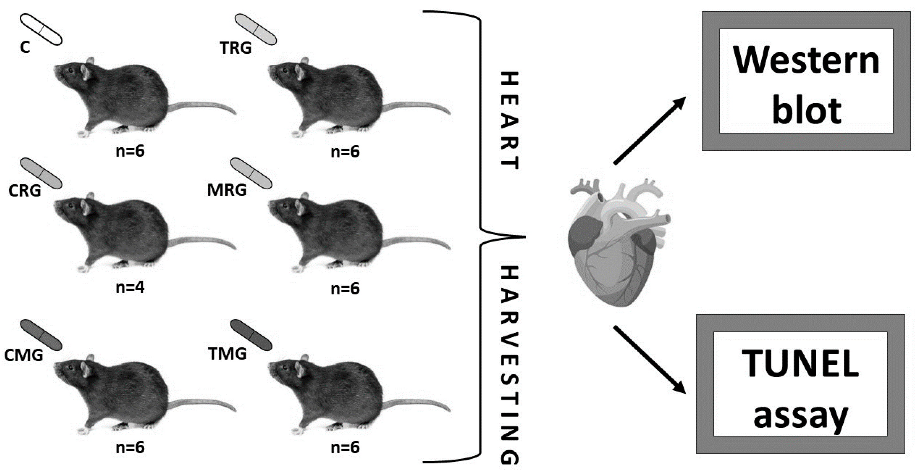 Pharmaceuticals 17 01188 g008 Pharmaceuticals 17 01188 g008